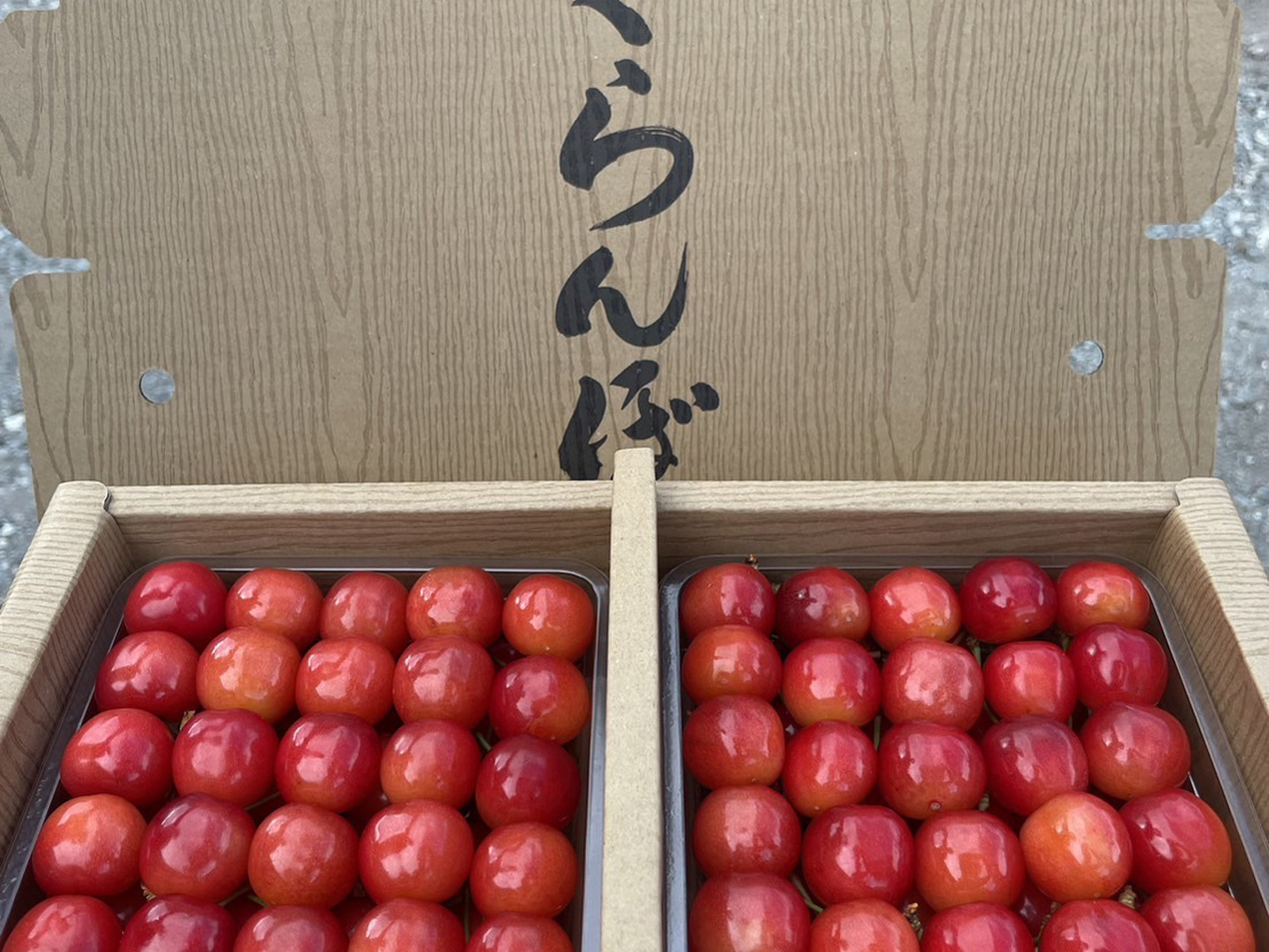 特別価格！！！)山形県産 さくらんぼ 佐藤錦 贈答用 500g：山形