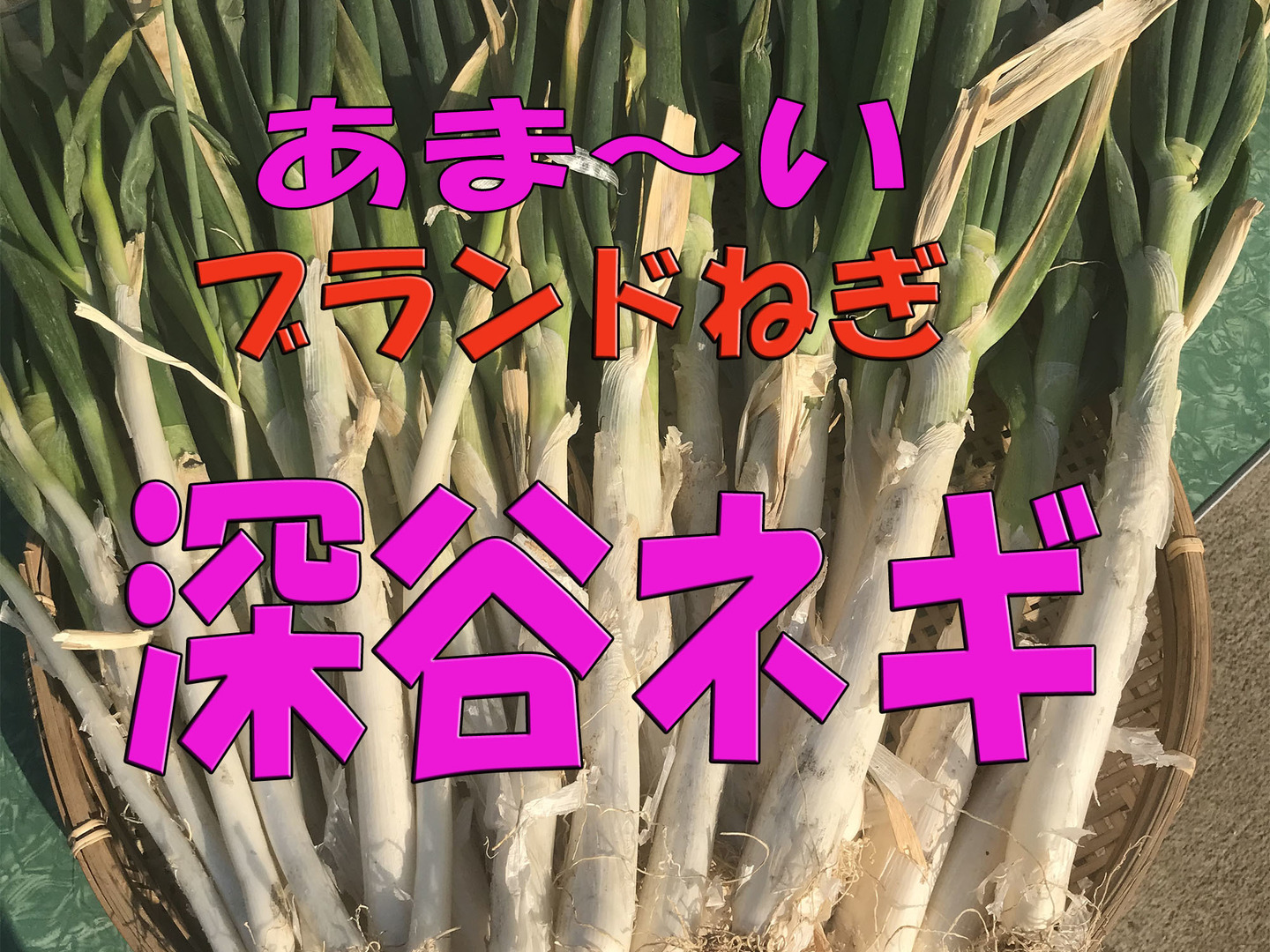 cb8888e06b2b11c91ac66ce5fc2ec0