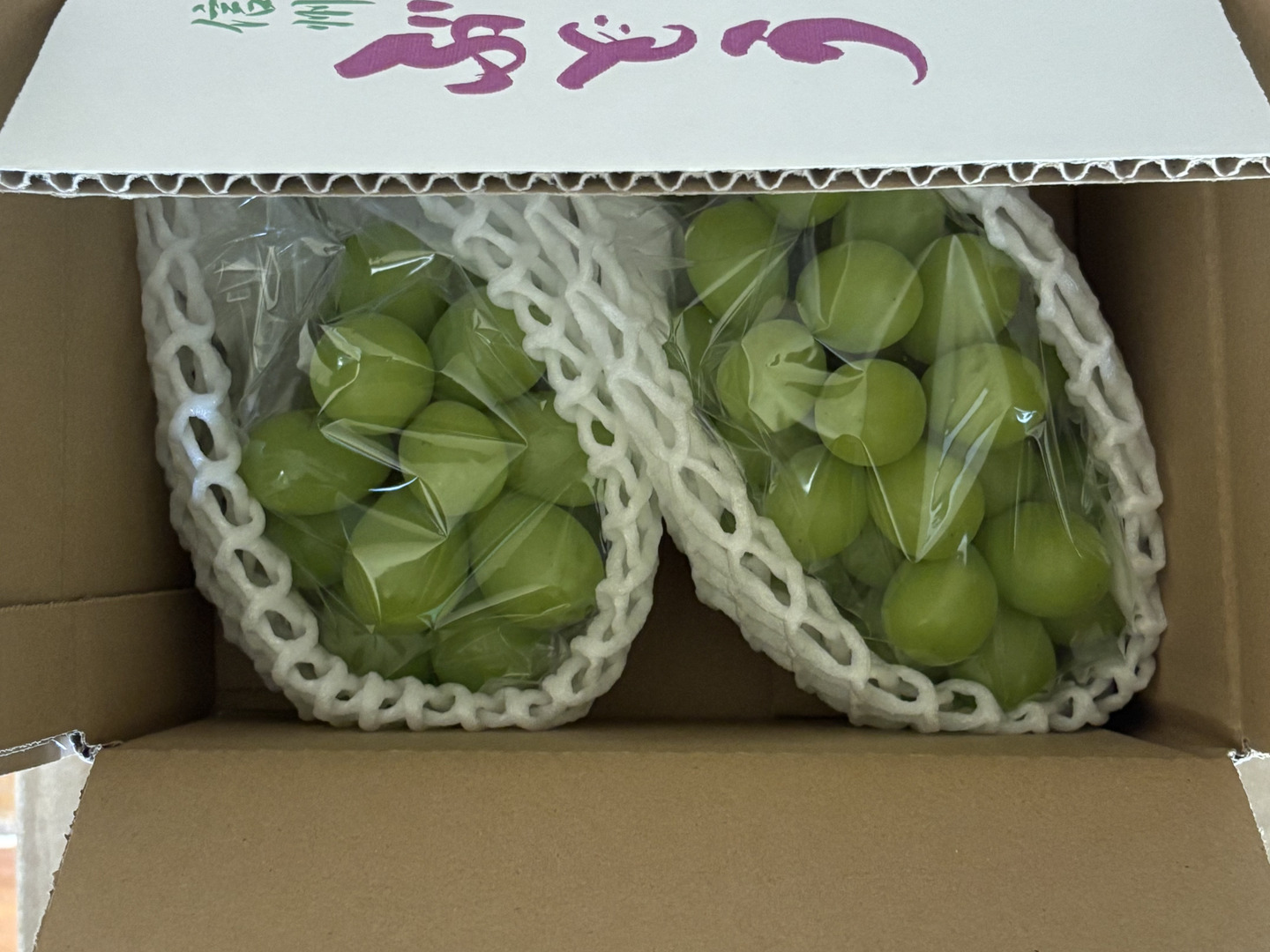 予約販売】北信州産 ハウス栽培！シャインマスカット 2房・総量1kg