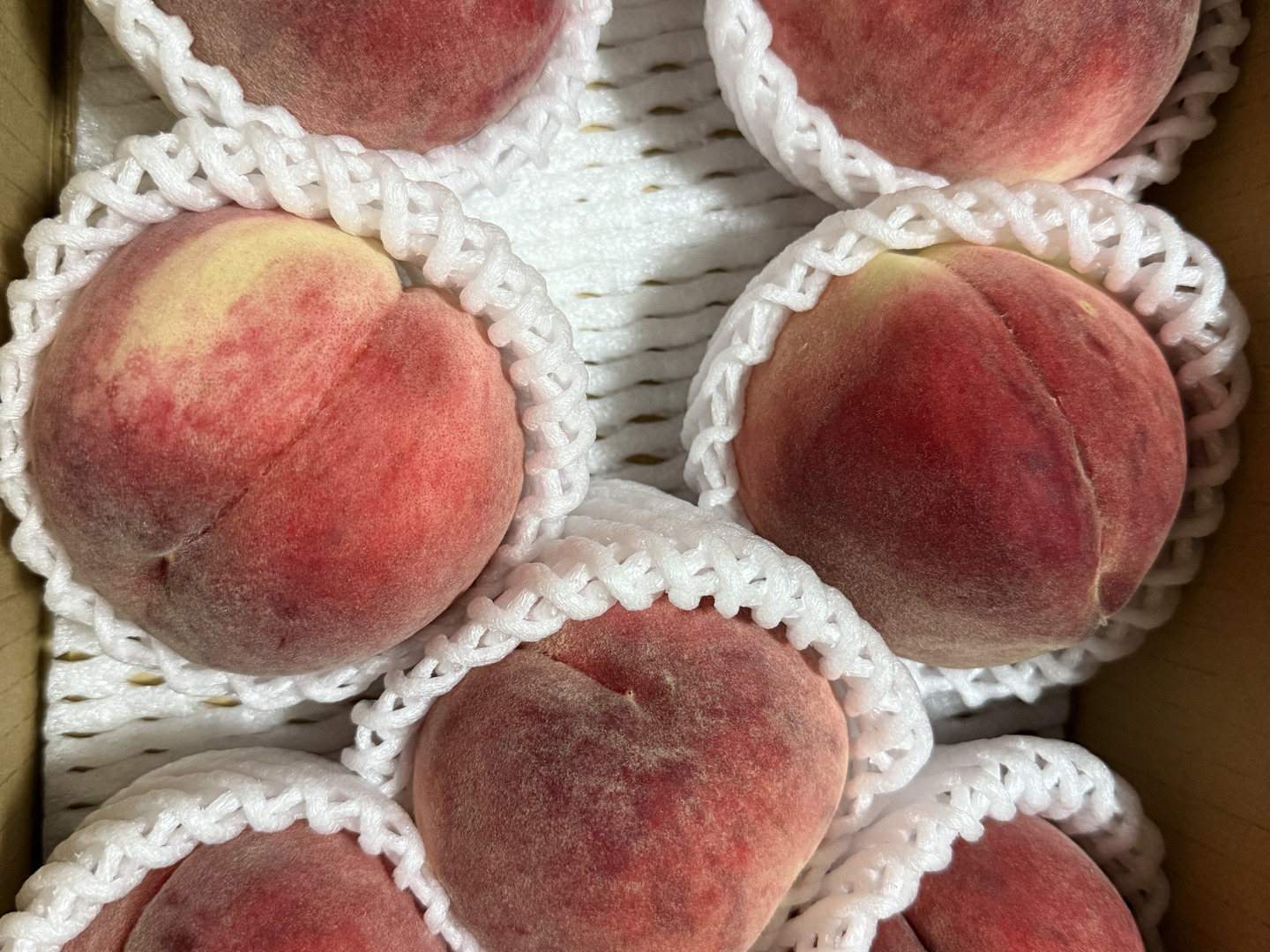 7月収穫】かたい桃「あかつき」約2kg6～8玉1箱山梨県