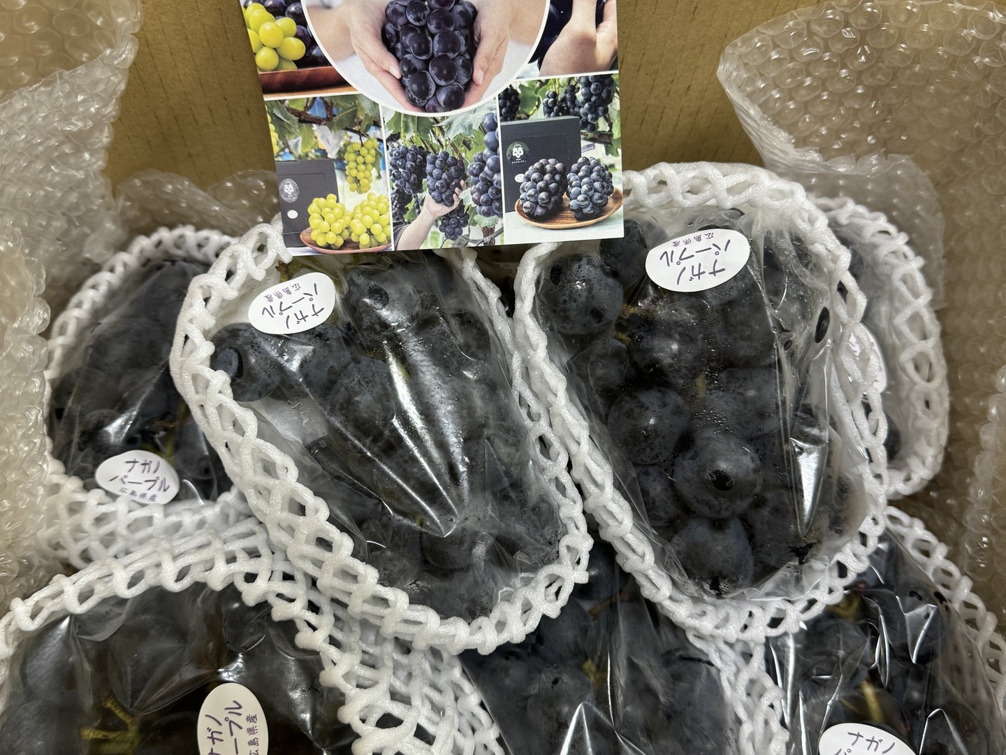ナガノパープル訳あり2kg家庭用自家用 ☆訳あり☆ ナガノパープル2kg【4房～8房】：広島県産のナガノ