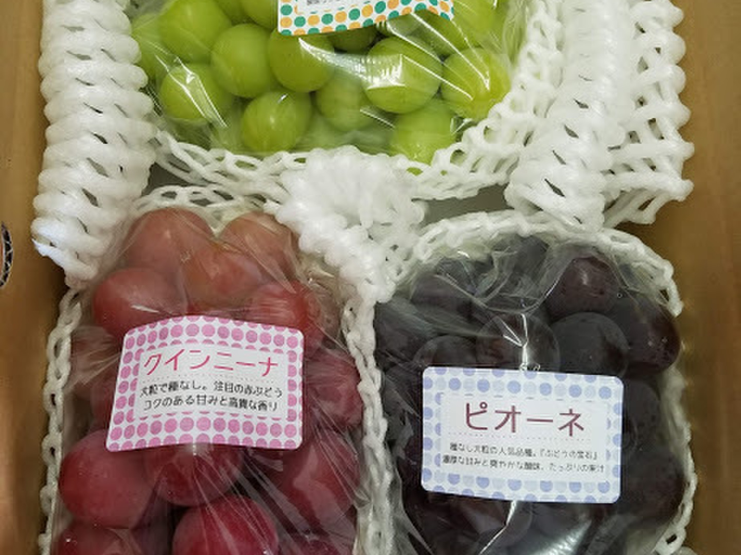 爆買い 英語 旬のぶどう詰め合わせセット（品種おまかせ2～3房）：兵庫県産の 果物