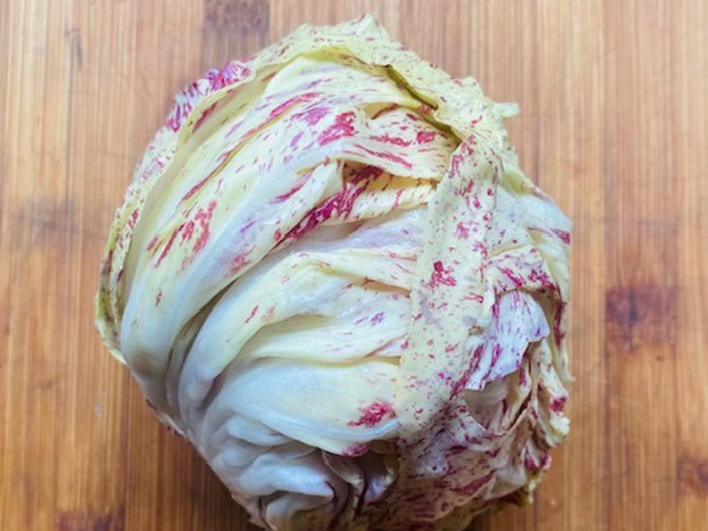 カステルフランコ 希少な国産です! 京都府産:京都府産のその他葉物野菜|食べチョク|産地直送(産直)お取り寄せ通販 農家・漁師から旬の食材を直送