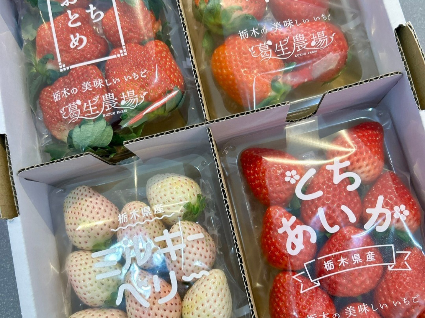食べチョク限定】摘みたて直送！ミルキーベリー入り！とちぎの