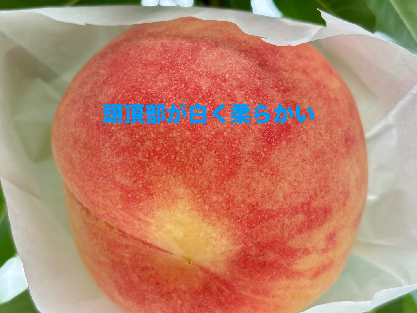 ユッキー⭐️山梨県産 桃⭐️夢みずき⭐️家庭用 18個入り⭐️箱込み約4.1キロ 山梨県産 桃⭐️夢みずき⭐️家庭用 18個入り⭐️箱込み約4.4