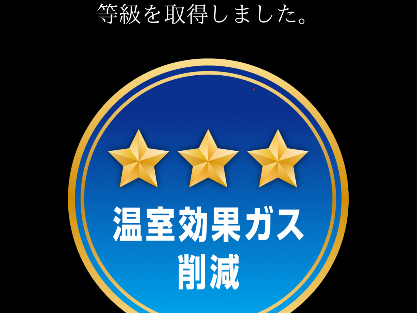 有機JAS】真夏の宝石箱 ミニトマトMIX 1キロ：岐阜県産のトマト