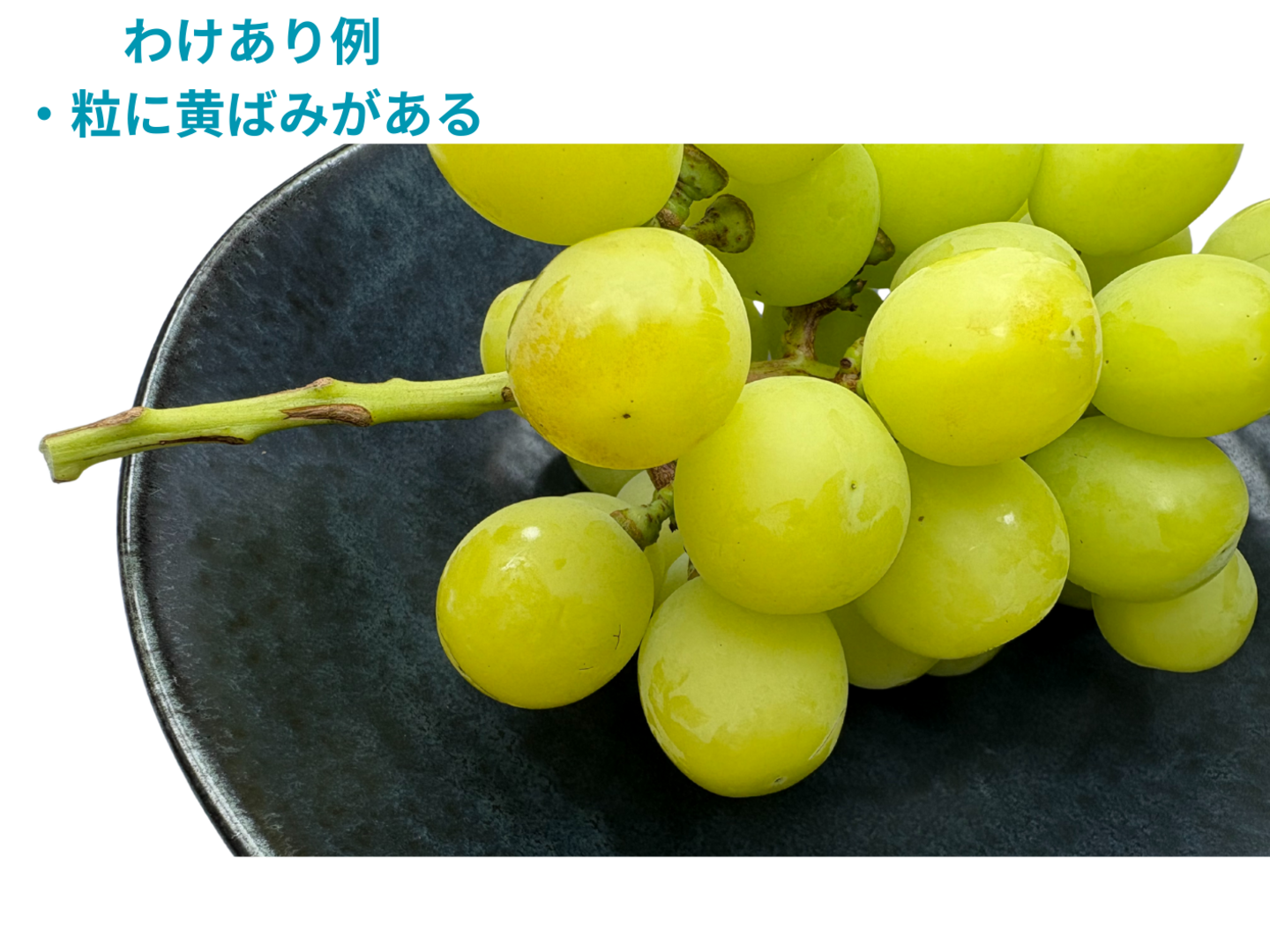 シャインマスカット(粒)  約３kg わけありお得！】大粒！シャインマスカット3kg 山梨県牧丘町産