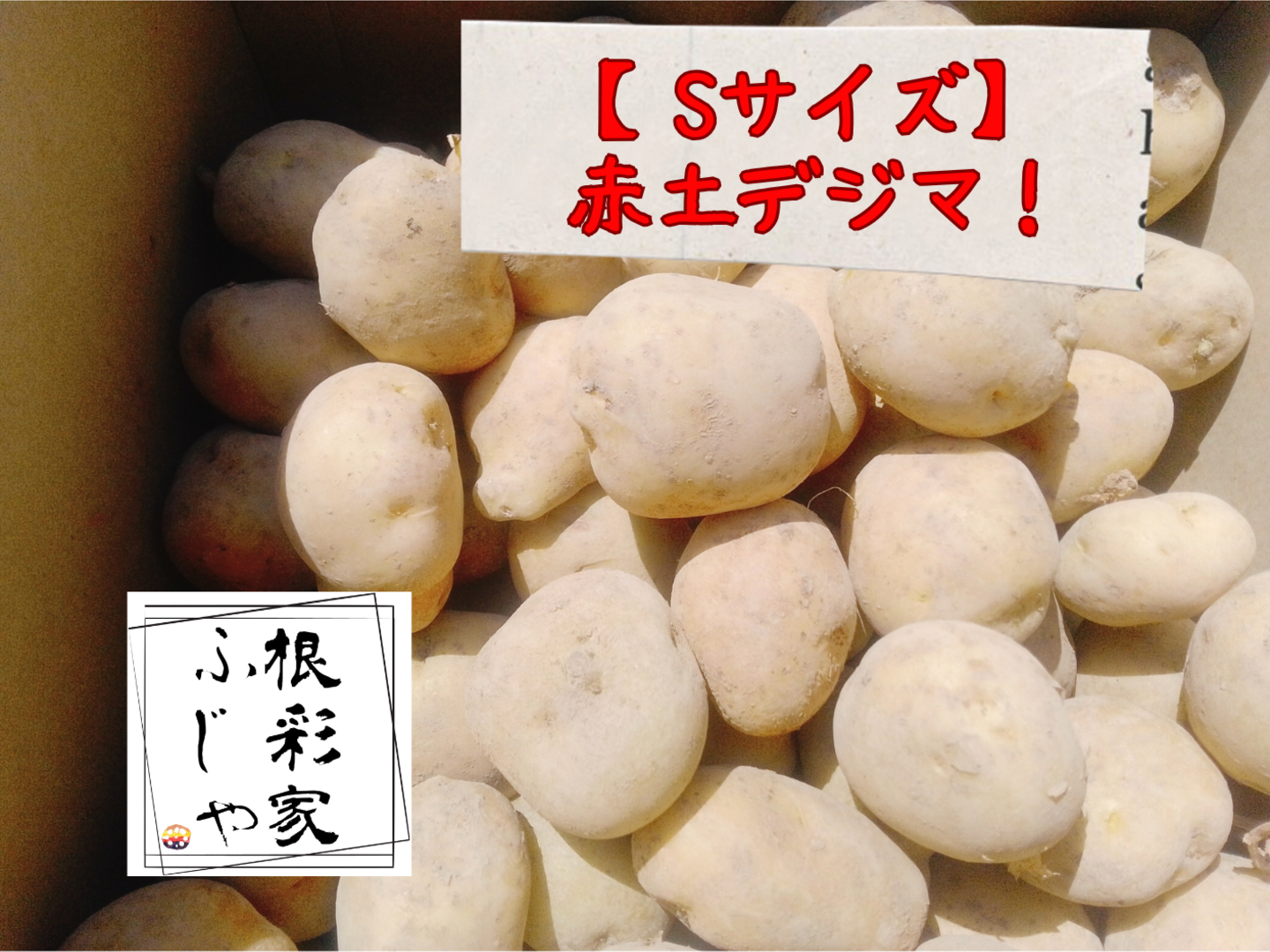 新じゃがSサイズ】農薬・化学肥料不使用！小芋コロコロ一口