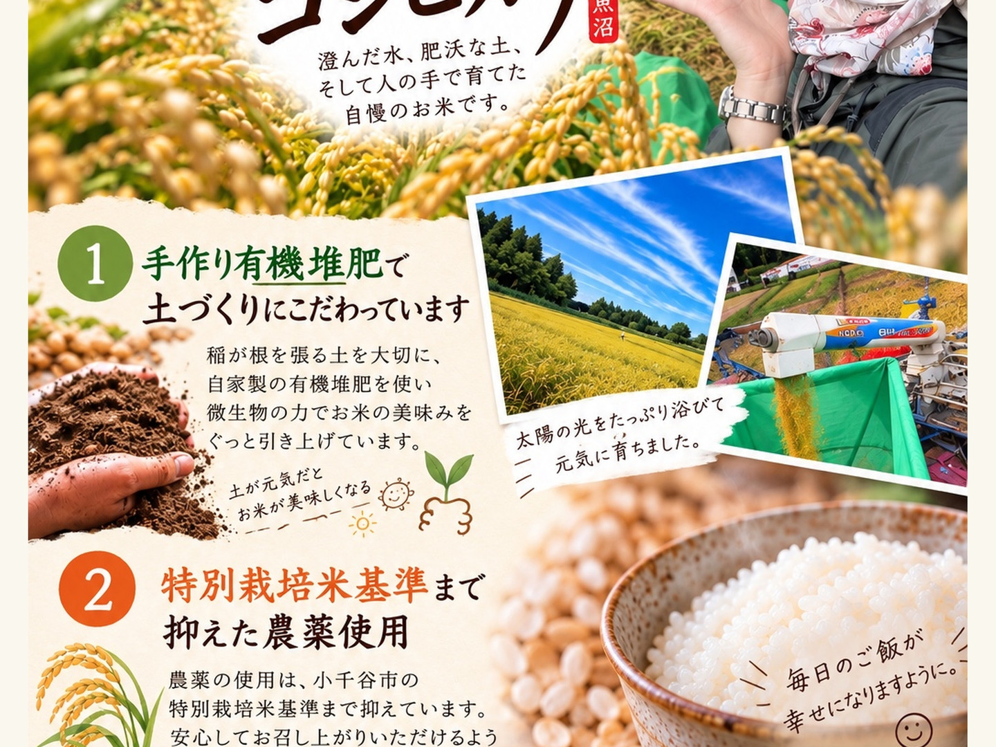 令和8年新米『魚沼産コシヒカリ100%』10キロ（精米）❗️：新潟県産の
