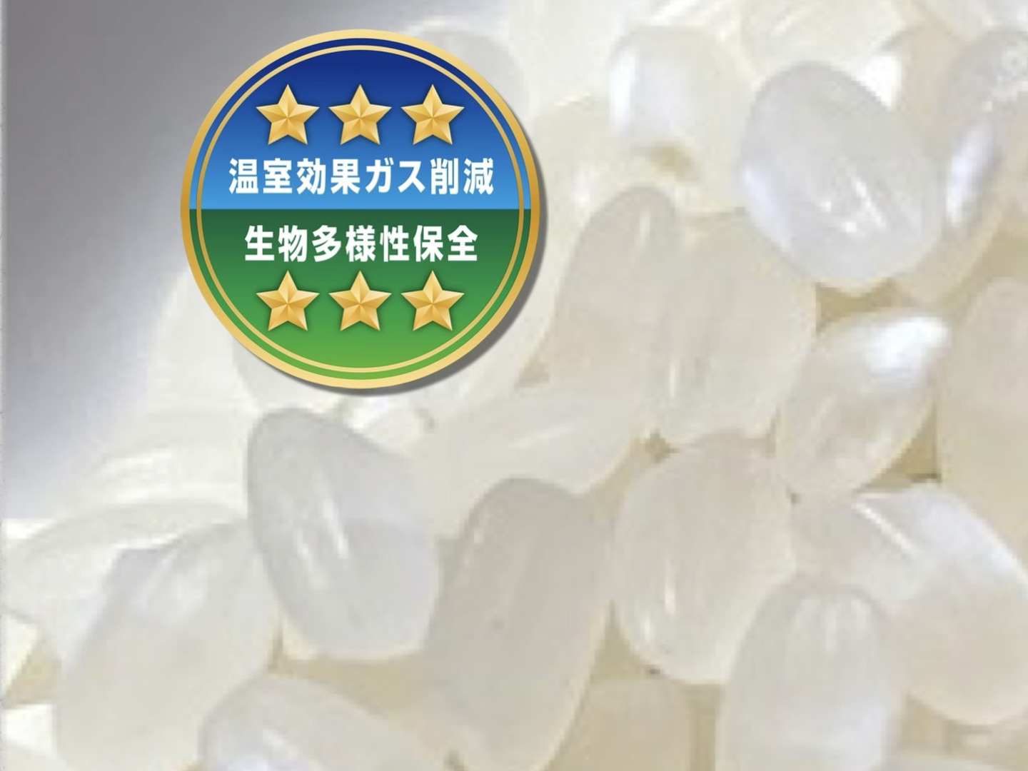 ★kazoo様★専用【特別栽培 朝日】10kg ☆kazoo様☆専用【特別栽培米 朝日】10kg