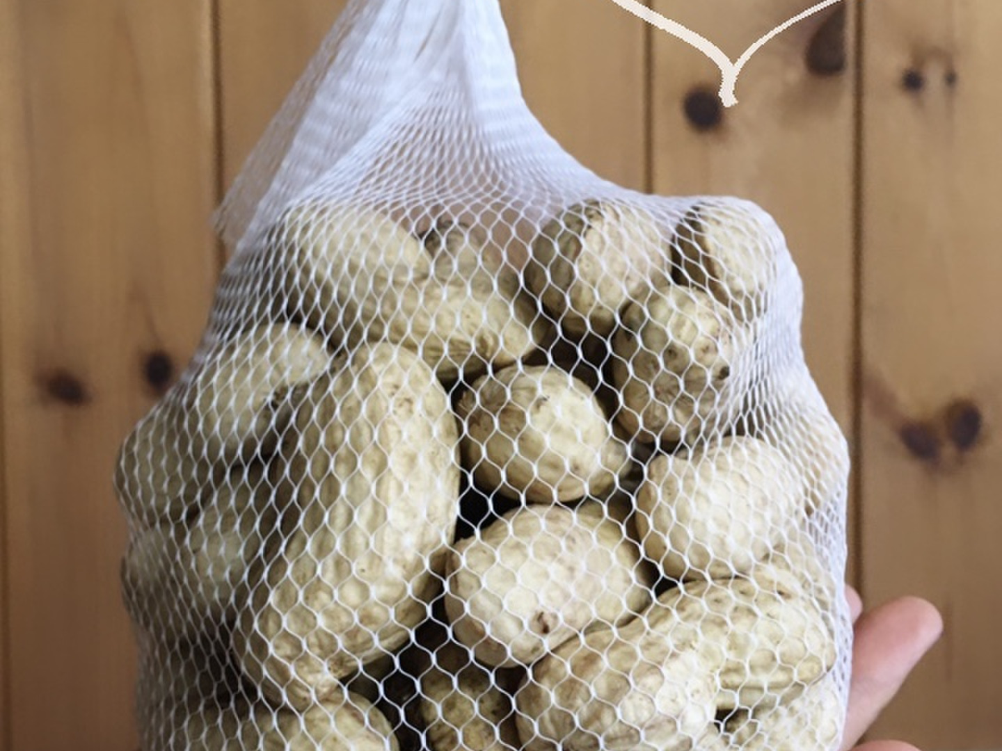 栃木県産 生落花生 むき身 3kg 1ark22e.jpg