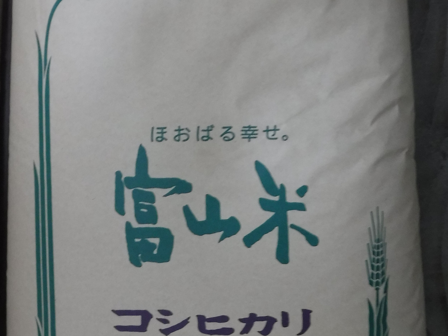 期間限定30％OFF! ◇玄米炊いてみませんか◇【令和6年度 玄米20kg】安清米（富山 米・雑穀・粉類