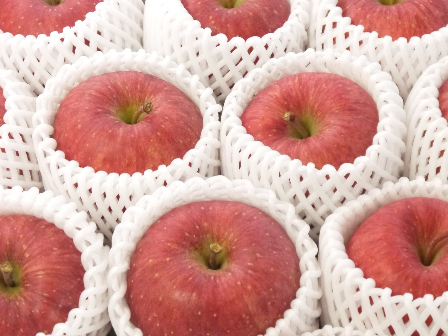 予約開始！11月中旬発送】青森県産りんご「サンふじ」贈答用