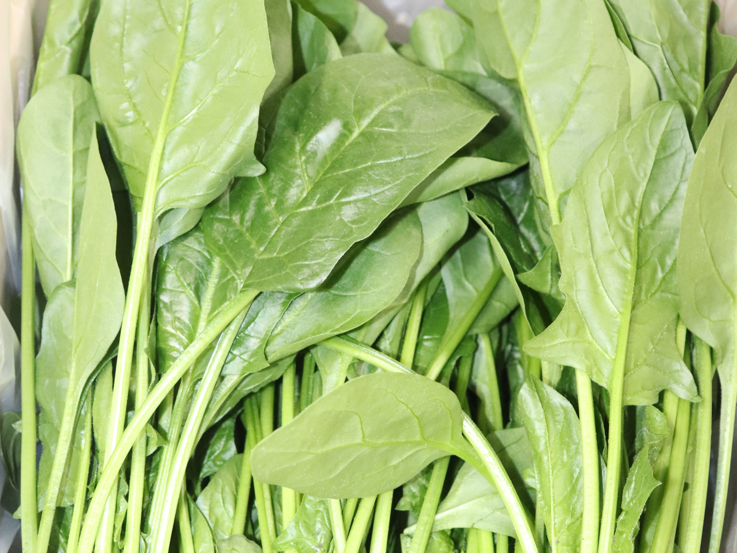 楽天市場】【ふるさと納税】佐賀県脊振山麓産 ほうれん草【1kg