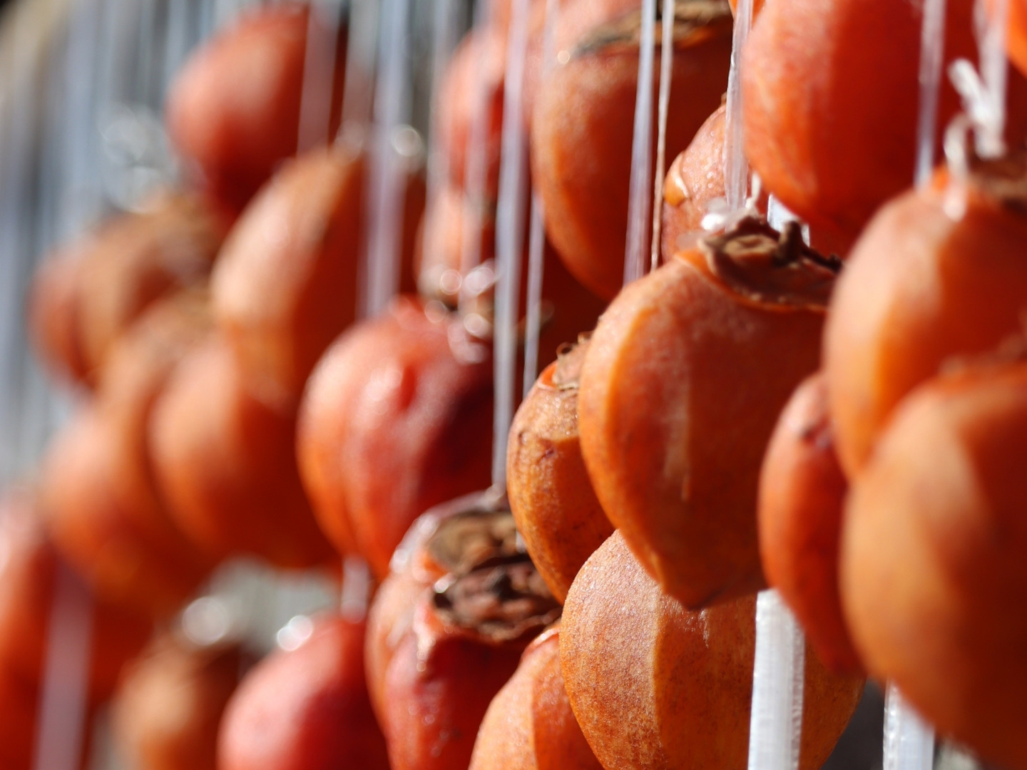 web限定セール 群馬県みどり市産】蜂屋柿 干し柿用生渋柿 約4KG：群馬 ご家庭用 果物