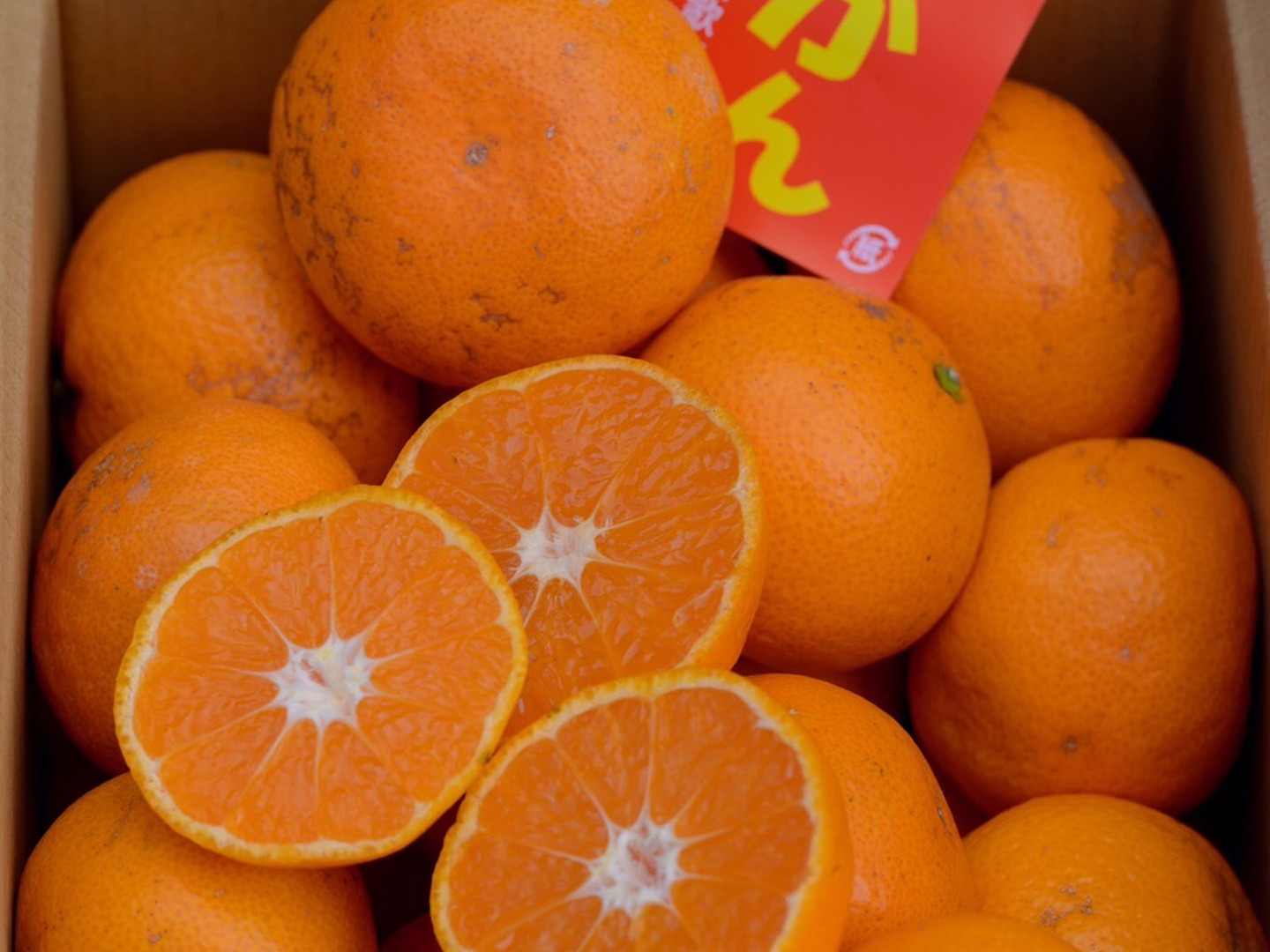超特価激安 まるたまみかん 黒点等訳あり有田みかんサイズ混合 箱込約5kg 果物