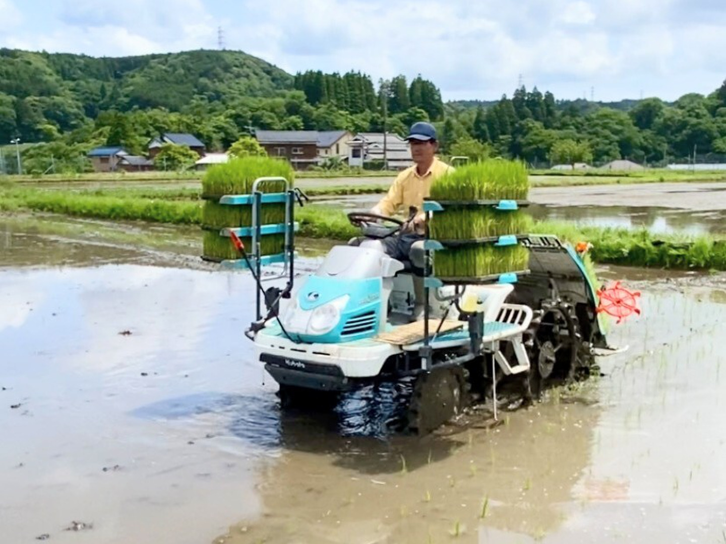 令和8年産新米】マジでうまい！千葉県産コシヒカリ玄米10kg（乾燥機