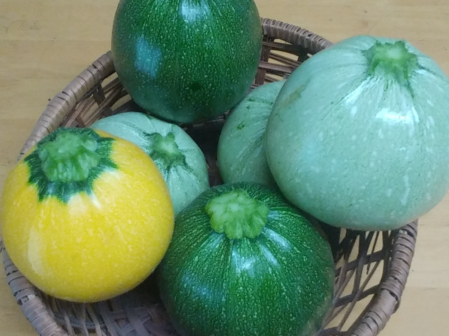 朝採り新鮮】【栽培期間中農薬不使用】色々なズッキーニ
