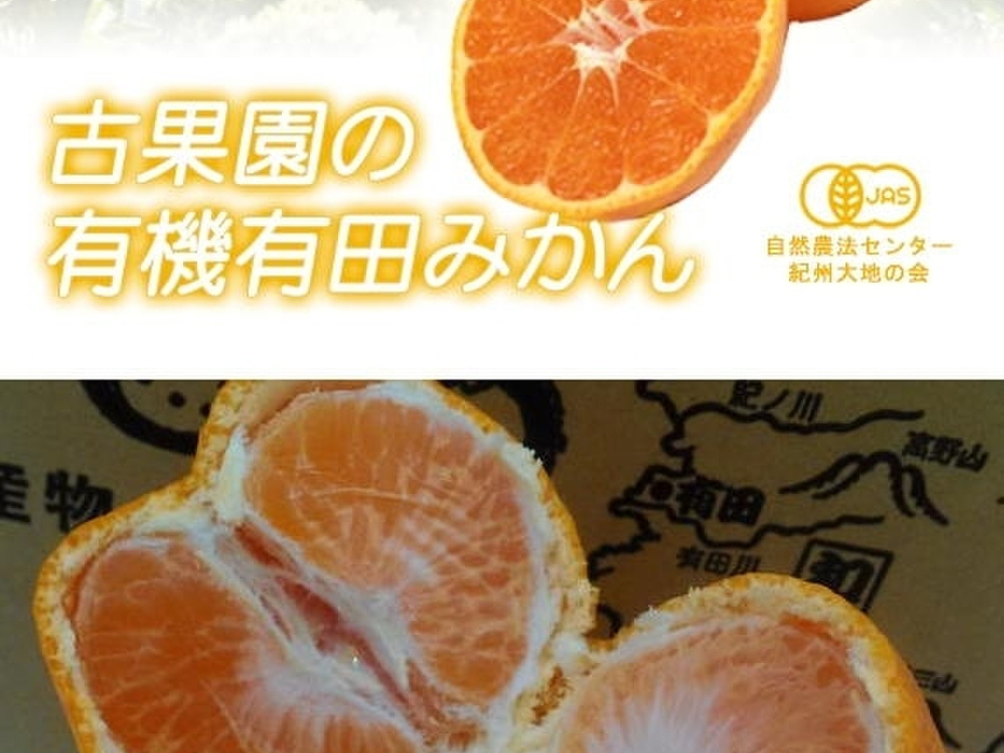 昔懐かしい味！希少な有機栽培和歌山有田みかん古果園【有機JAS