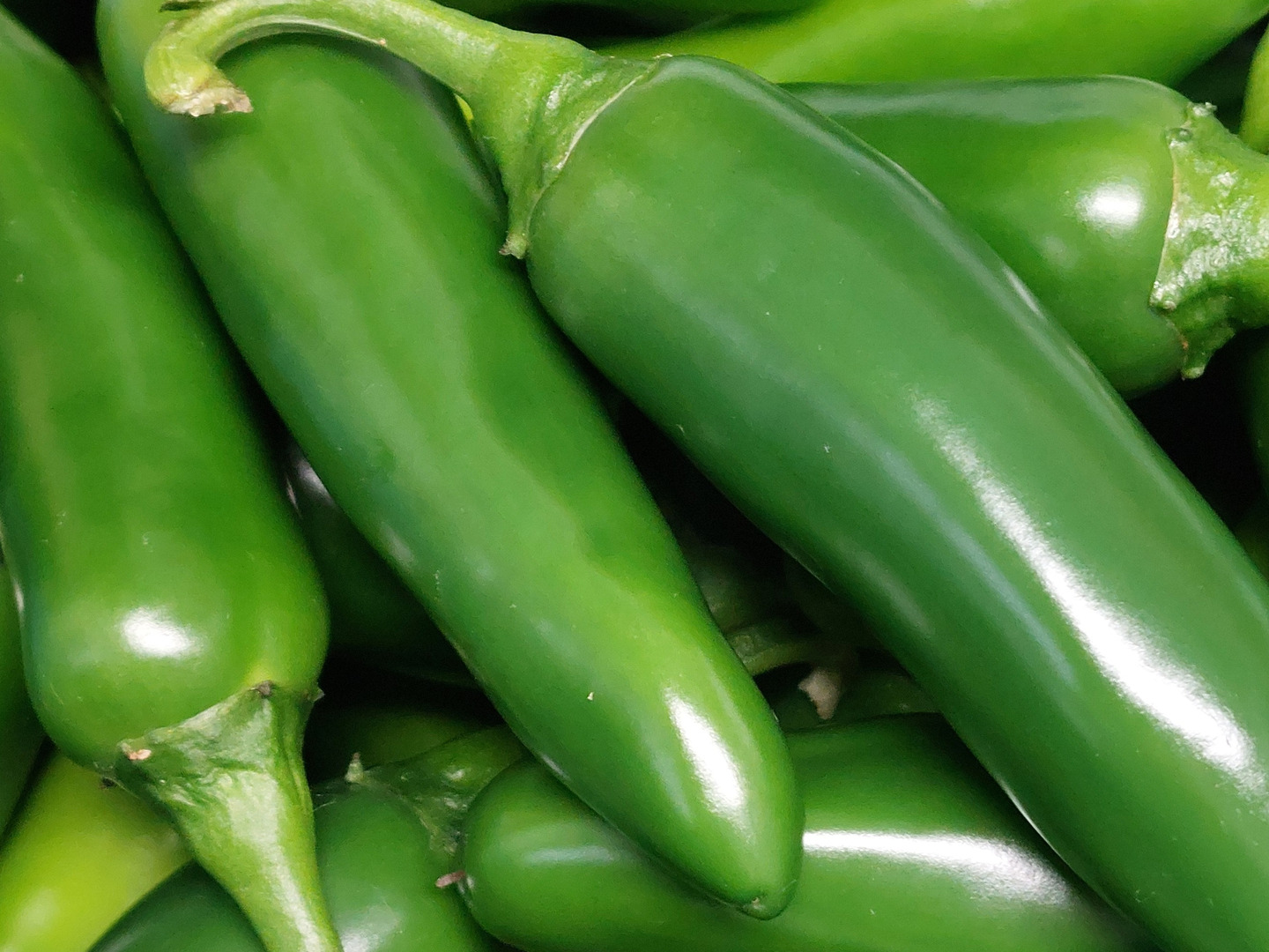 長野県産　おっきなハラペーニョ　10kg以上 爽辛！！熊本県産生のハラペーニョ1kg：熊本県産のハラペーニョ