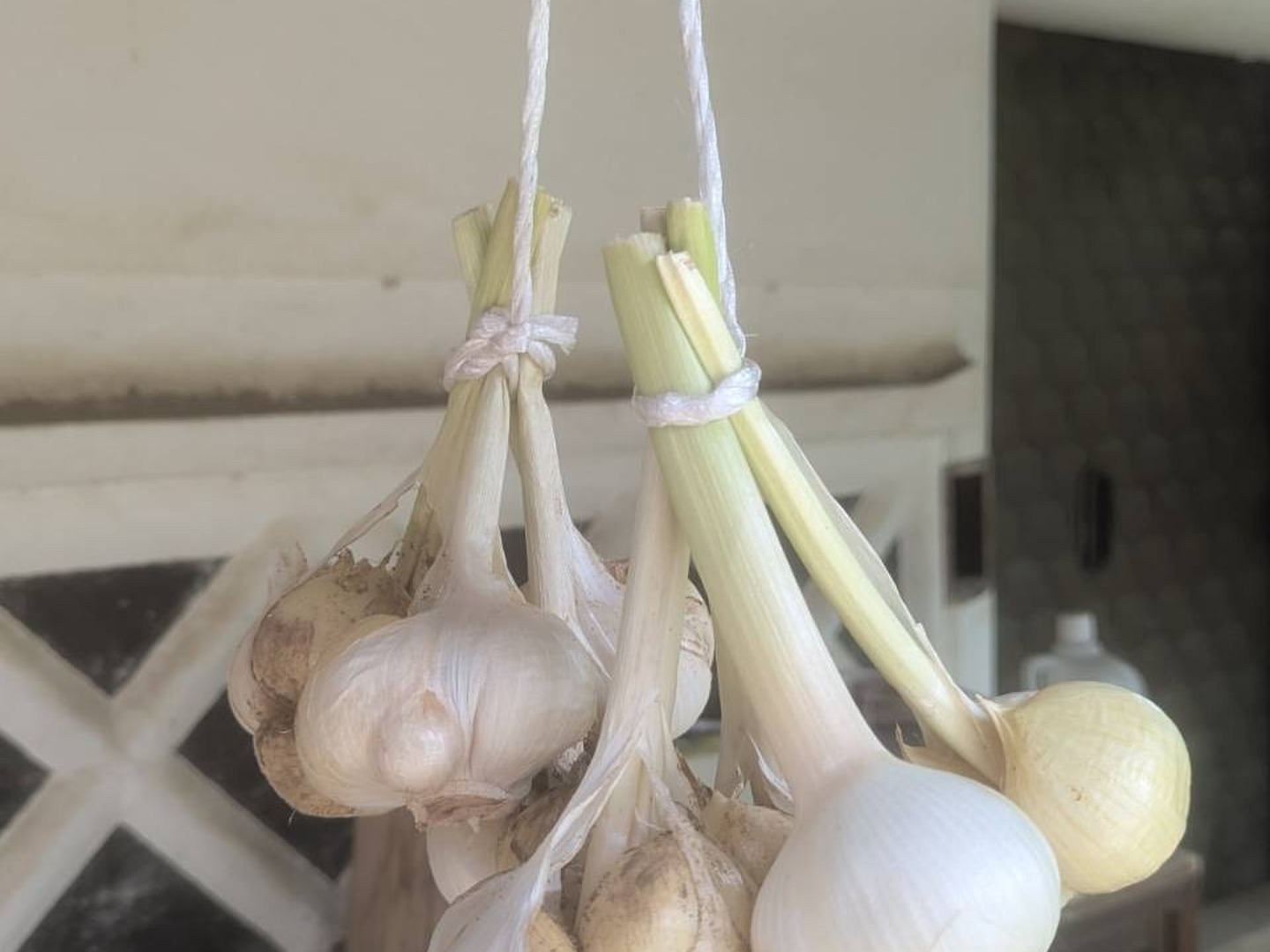 奈良県産自然栽培生ニンニク3kg 自然栽培収穫したて！奈良県山添の『おおきなにんにく』500g