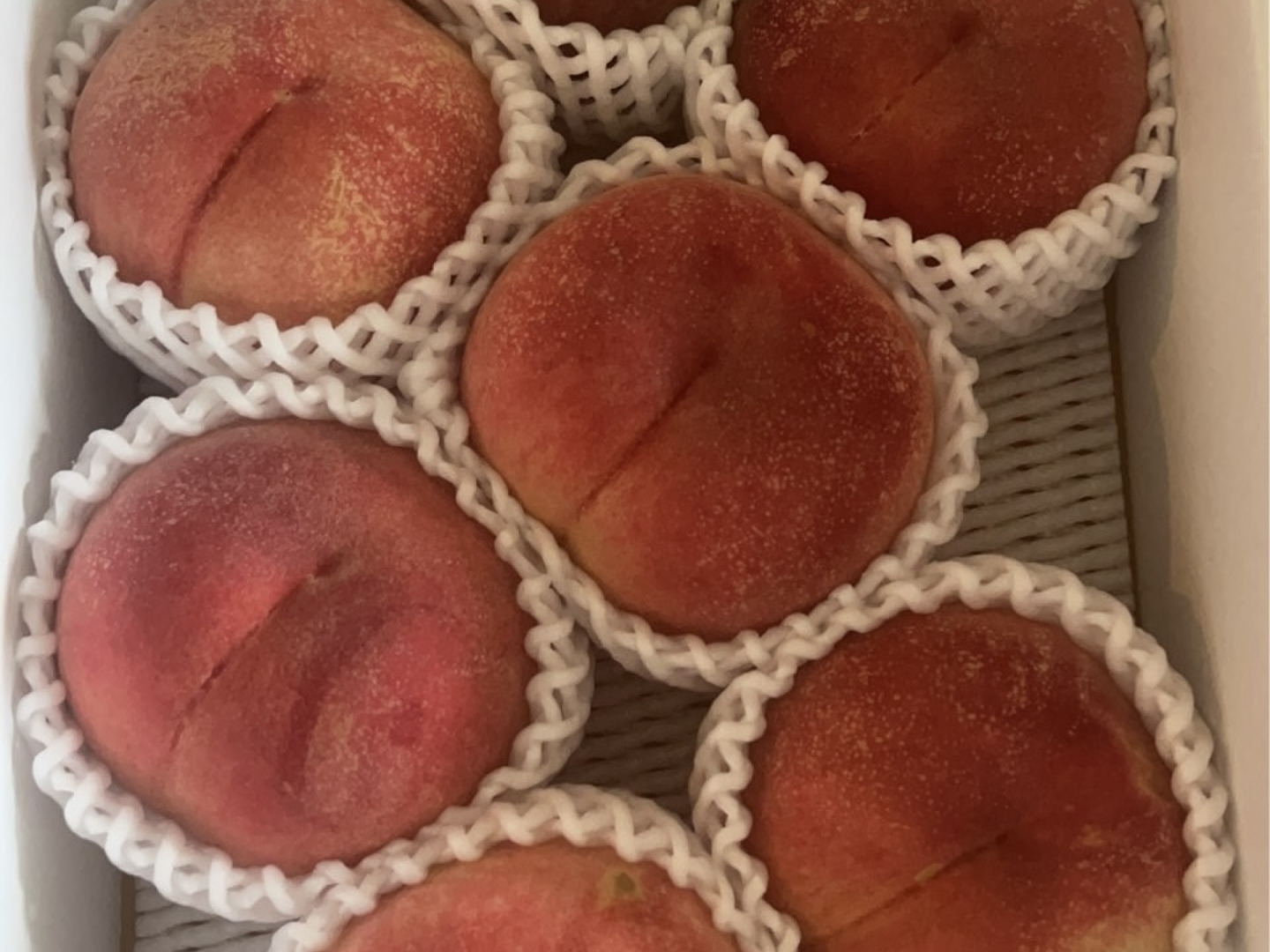 ワケアリ！硬い若桃9キロ〜！ ご家庭用桃】品種おまかせ🍑2キロ🍑【追熟すると柔らかくなる桃