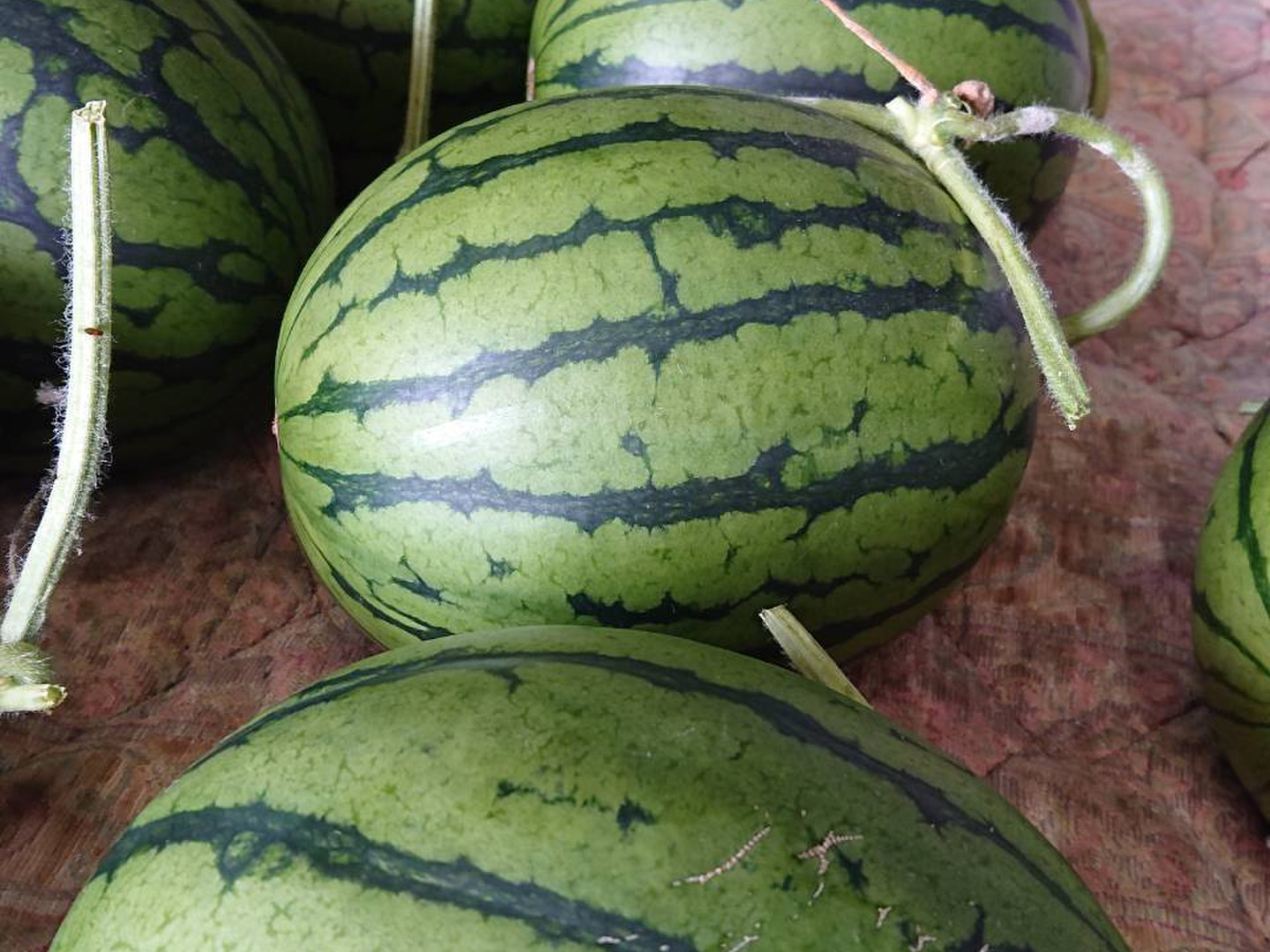 金の土】熊本県植木産大玉スイカ！！(2Lサイズ7~8kg)：熊本県産