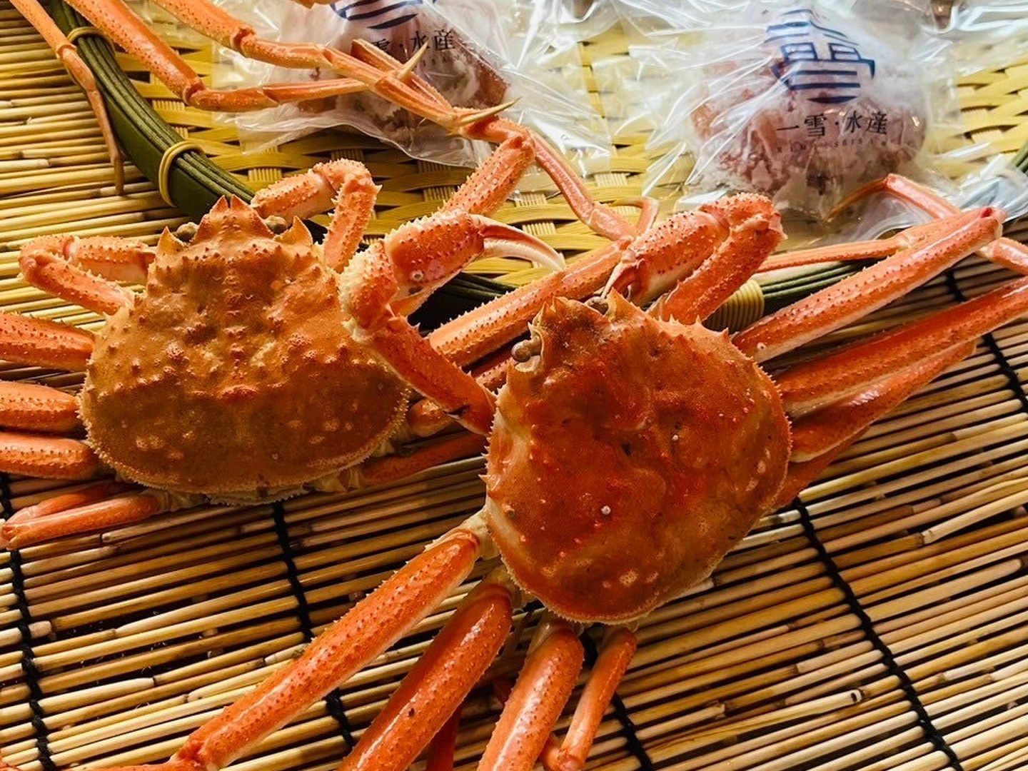 web限定セール 期間限定特売セール‼【北海道産】活ズワイガニ 10kg サイズ小中 その他