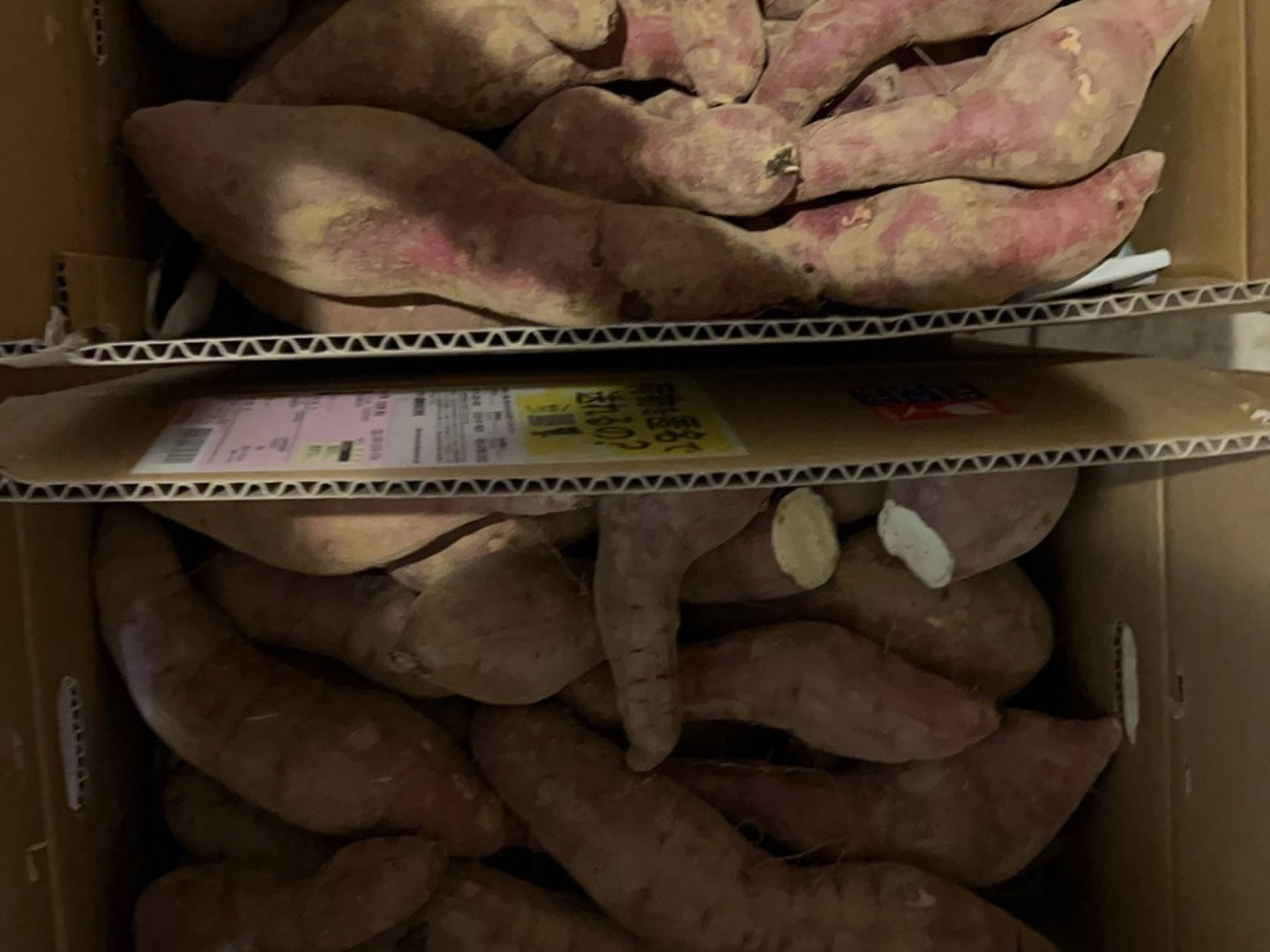 訳あり 新物】土付き べにはるか さつまいも 規格外：茨城県産の