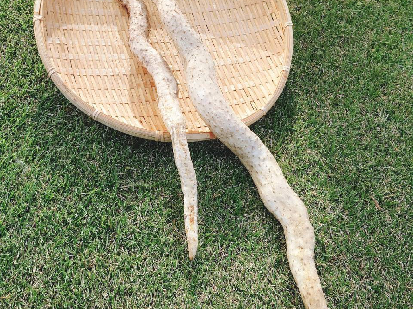 8c005cc7b8ea13977b18ec352690fd