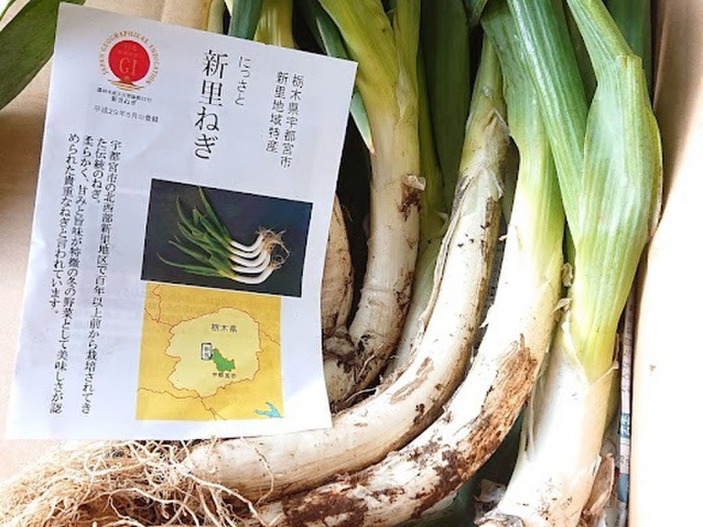 【2024年新作】 973d20614658be61db82281b8e6f35 野菜