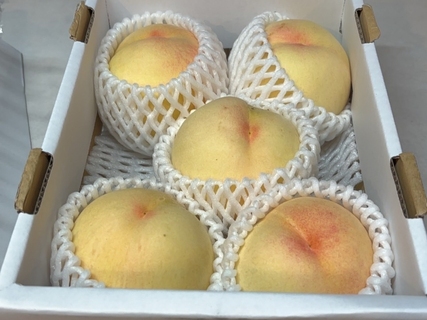 岡山県産桃　白鳳　訳あり品③ kuroshibaponta様 岡山県産白桃「白鳳」約4キロ ※発送時期7月上旬～7月下旬 | 水車