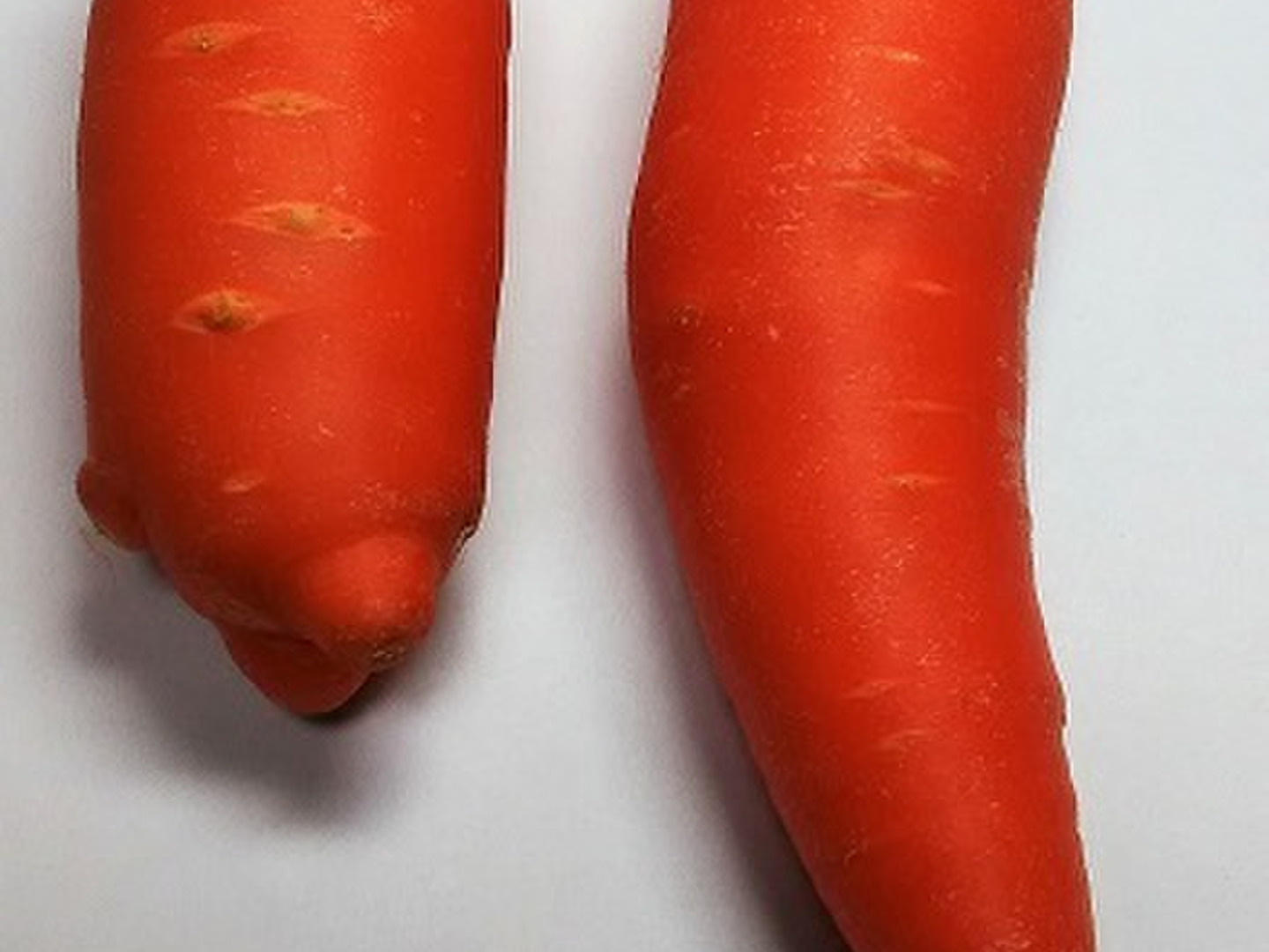 無選別 洗いにんじん 訳あり含む大きさ色々人参 14kg：茨城