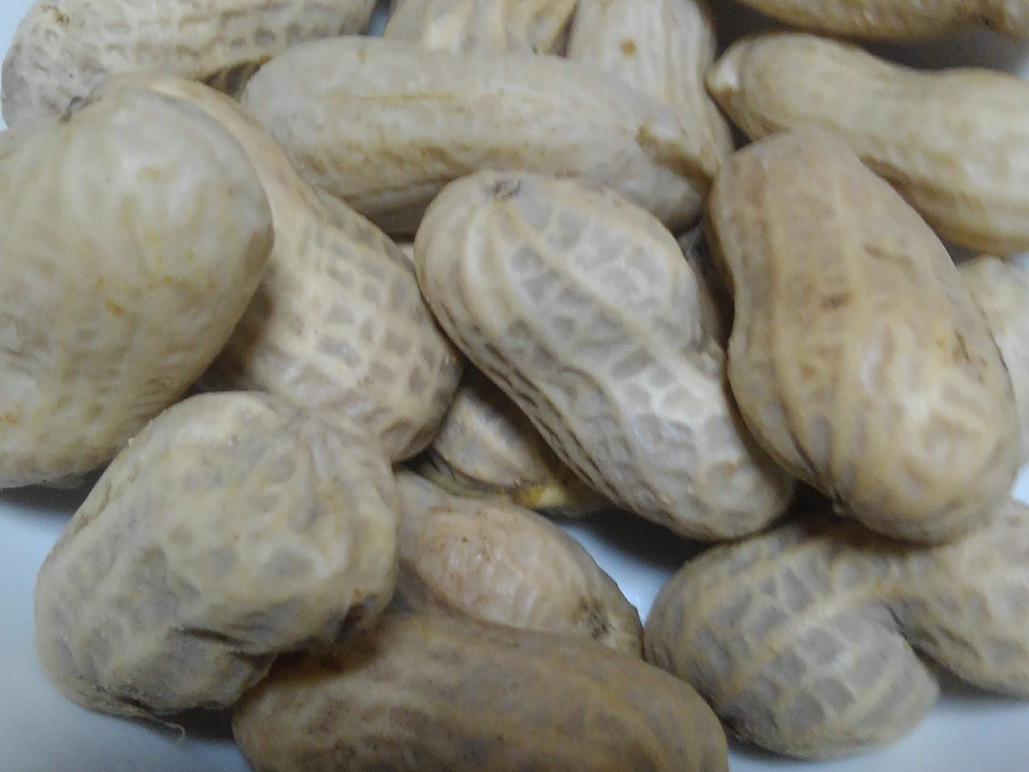 自然栽培】食べ比べ生落花生3種(おおまさり、千葉半立、Qナッツ