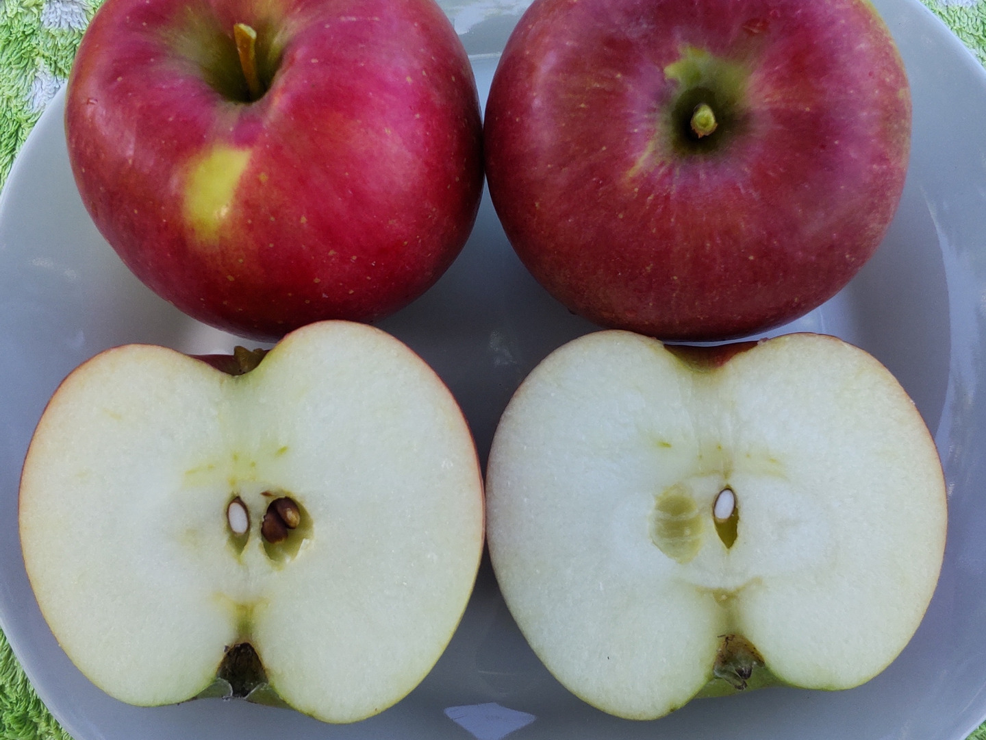 夏あかり2kg】甘くて硬い味の濃い、日保ちする夏りんご。皮ごと食べ