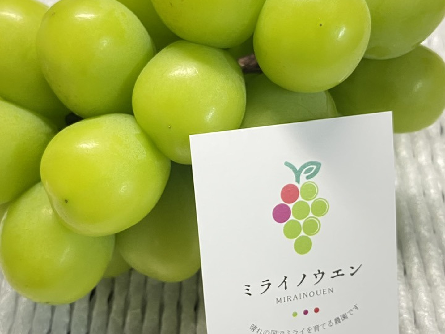 専用出品　岡山県産シャインマスカット　4.0kg1箱 シャインマスカット（4kg箱） | 石原果樹園ネットショップ