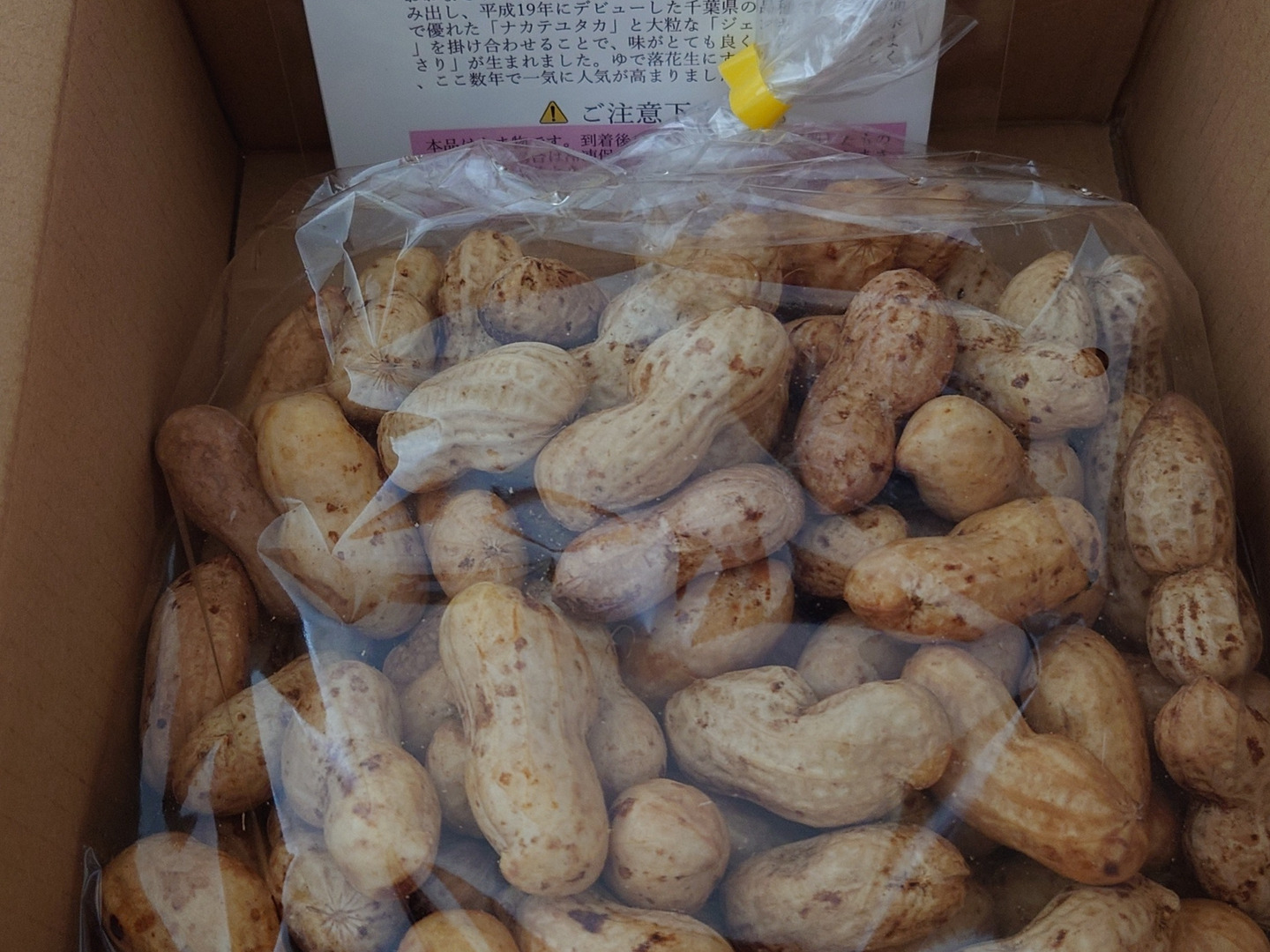 おおまさり　1,000g 大粒　乾燥生落花生　ネコポス　千葉県産　24 楽天市場】【ネコポス送料込み】【おおまさり蜜入りさや】180g x