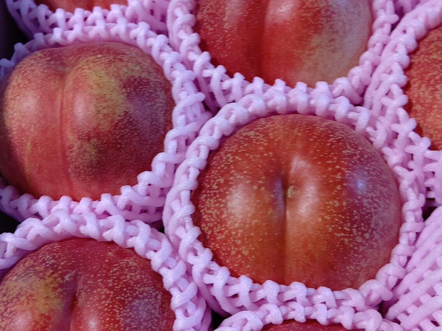 ネクもも🍑ハネージュ🍑3キロ箱(10玉〜12玉)化粧箱：山形県産の