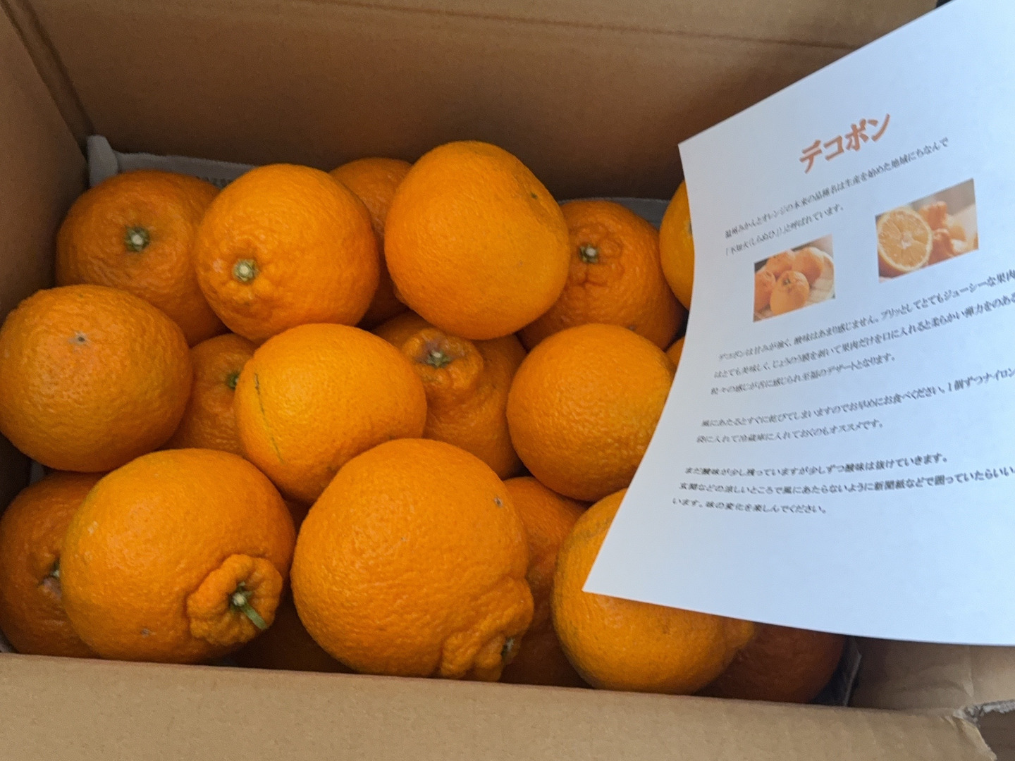 売れ筋がひ！ □【味に自信あり】□愛媛の不知火□家庭用□除草剤使用 フルーツ
