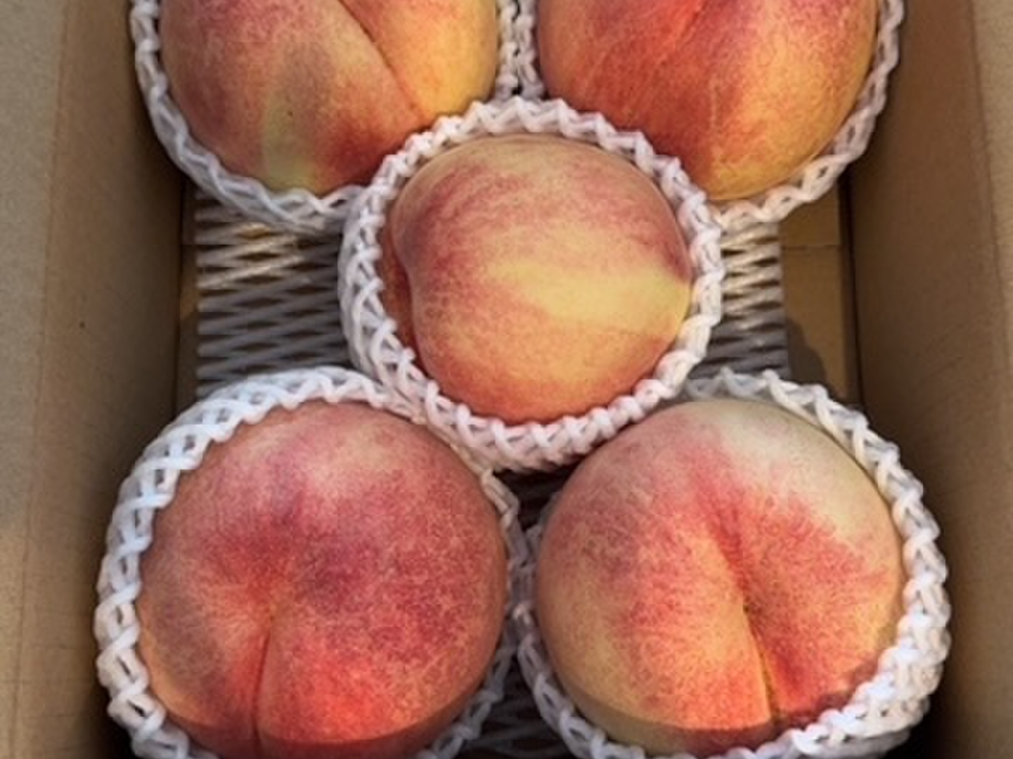 希少品種が入るかも！【品種おまかせ🍑白桃】訳あり2kg ※8~9月発送