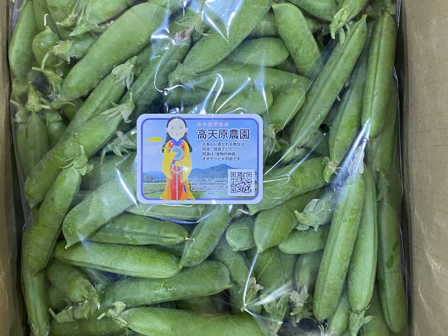 新着商品 4月下旬発送莢付きグリーンピース 5キロ：徳島県産のエンドウ 野菜