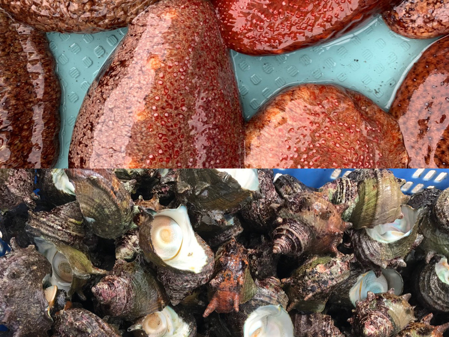 c7b314426300f80a263308560ed193