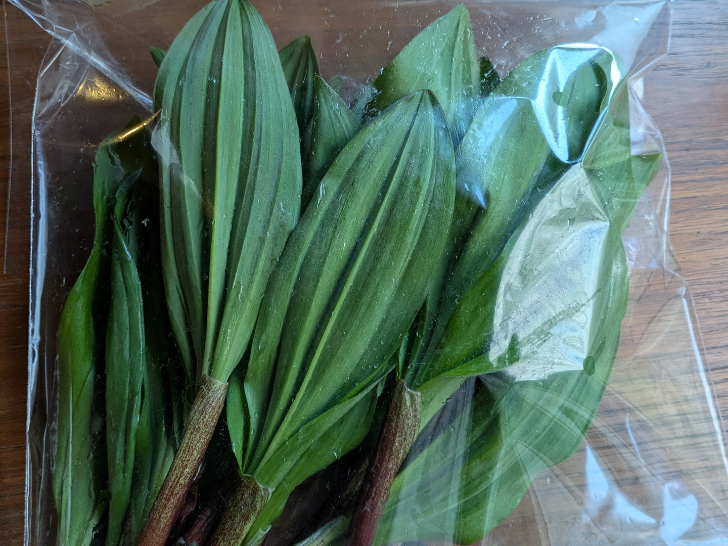 春限定山菜の王様】 北海道産行者ニンニク300g】：北海道産の
