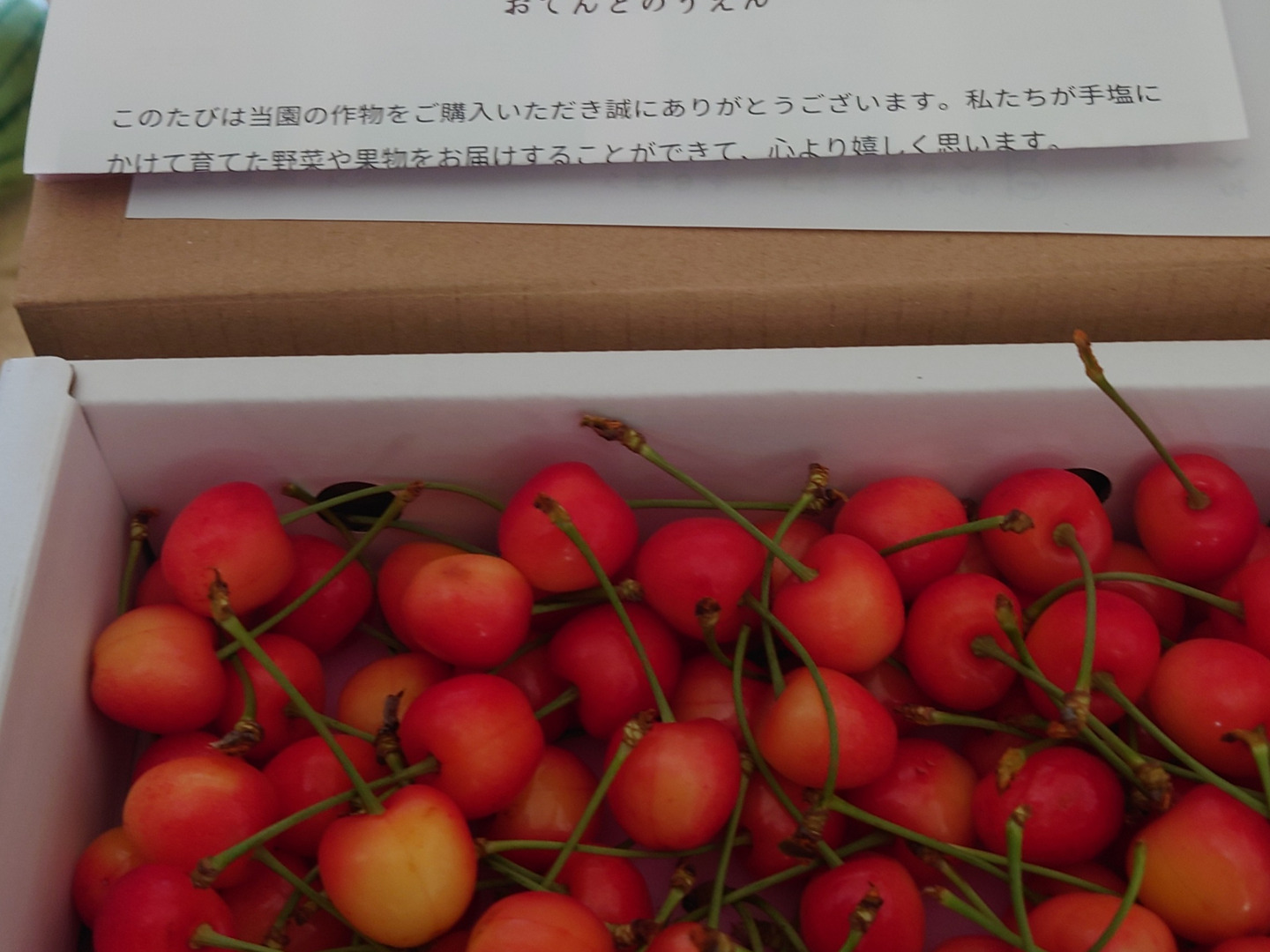 山形のさくらんぼ「ナポレオン」500gバラ詰め：山形県産の
