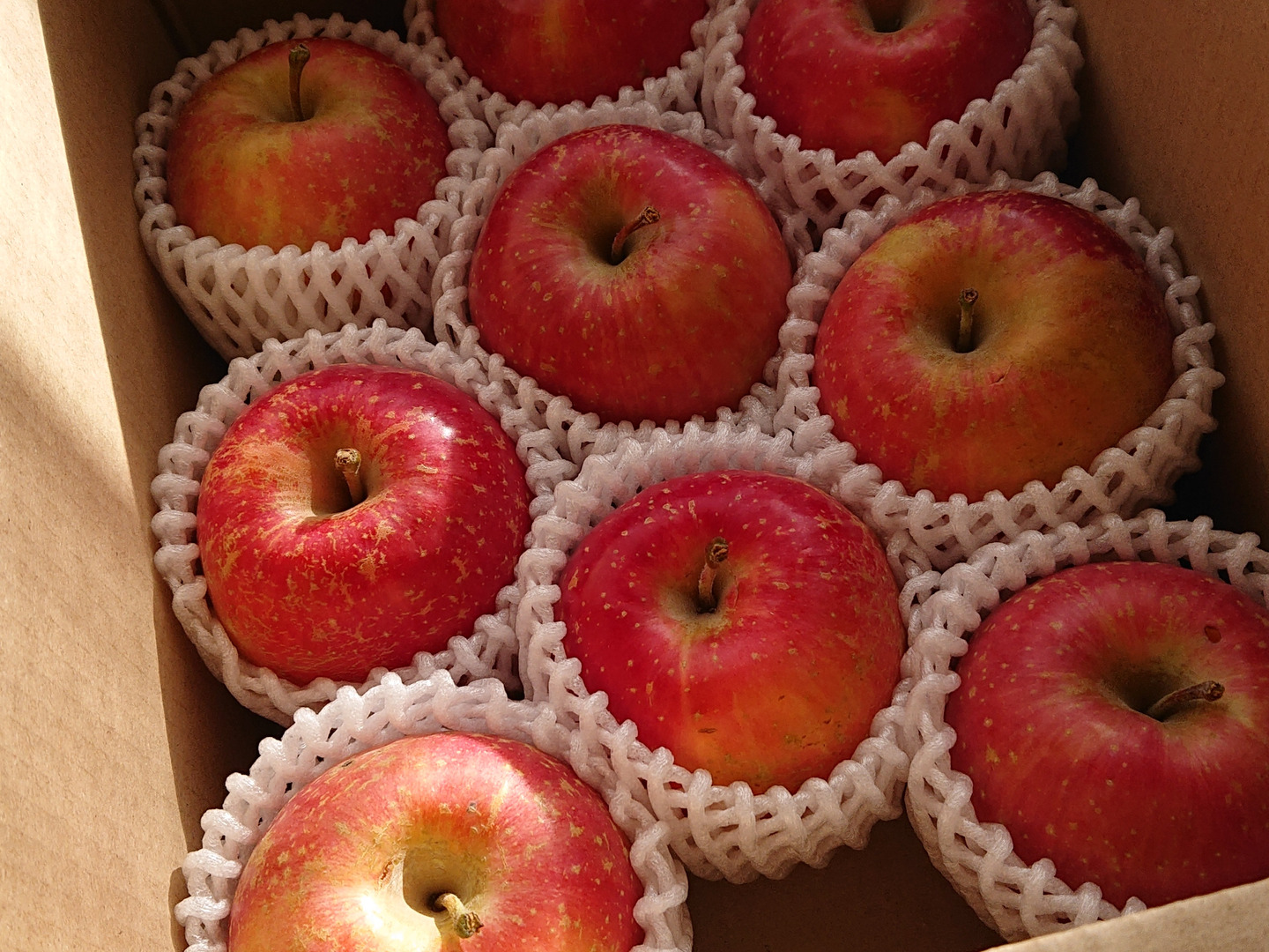 七宝ページ　サンふじ　小玉　農家直送 🍎サンふじ】 小玉9個 (1.8㎏・家庭用)：宮城県産のふじ｜食べチョク