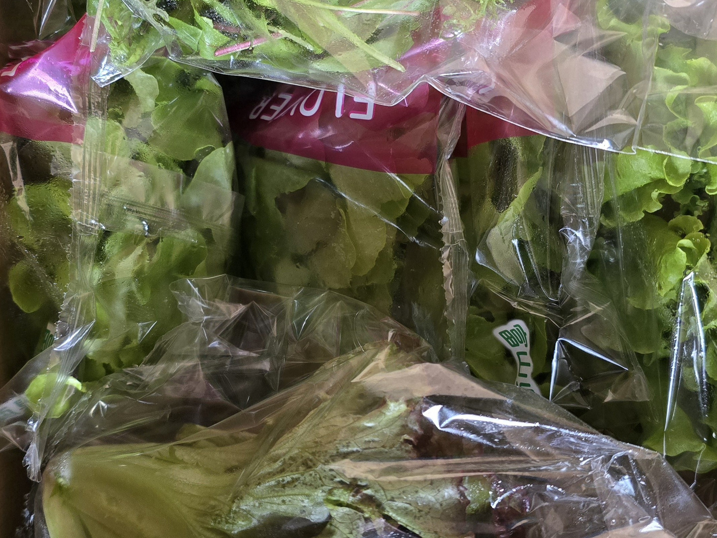 山菜 等 おいしい野菜研究室さん専用 まずはお試し】【栽培時農薬不使用】富山の植物工場野菜セット12