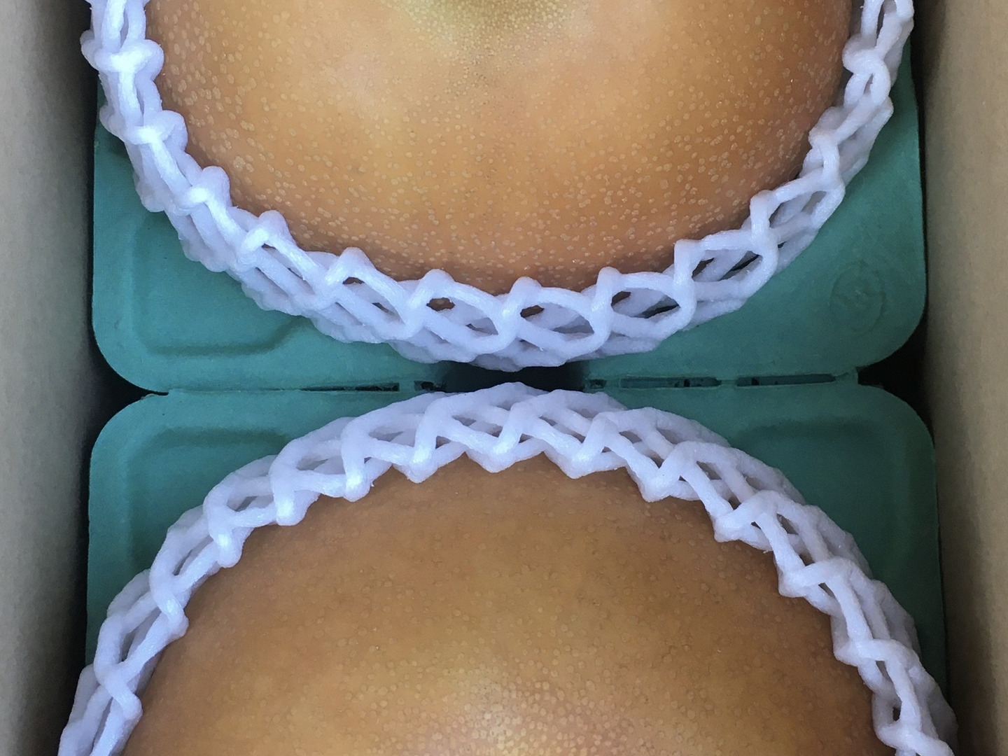 栃木県産 にっこり梨 2玉入り 2.4kg：栃木県産のにっこり｜食べチョク