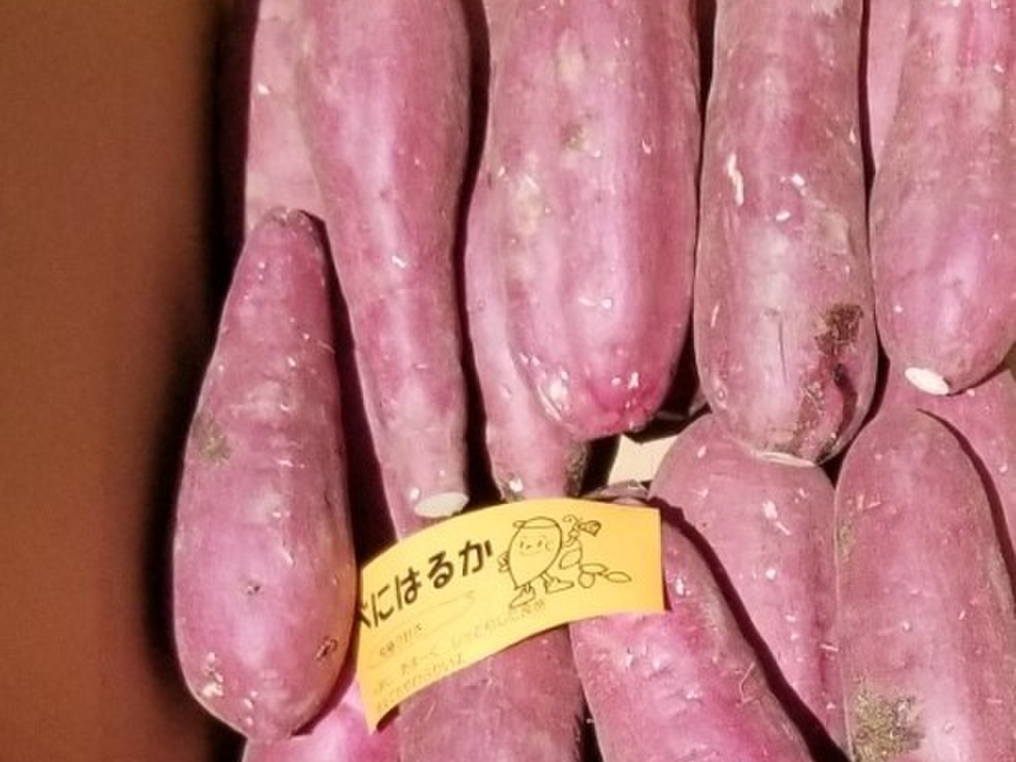 完熟❣ 紅はるか サイズS～L（ 2.5Kg）：大分県産のべにはるか
