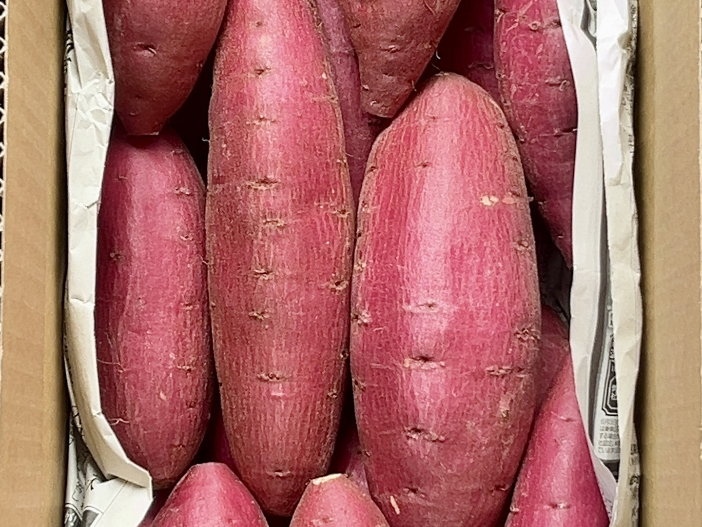 限定:大注目品種のサツマイモ苗[シルクスイート]シルクのような舌触り/100本 新芋】スッキリした甘さと滑らかな舌触り「シルクスイート」 3