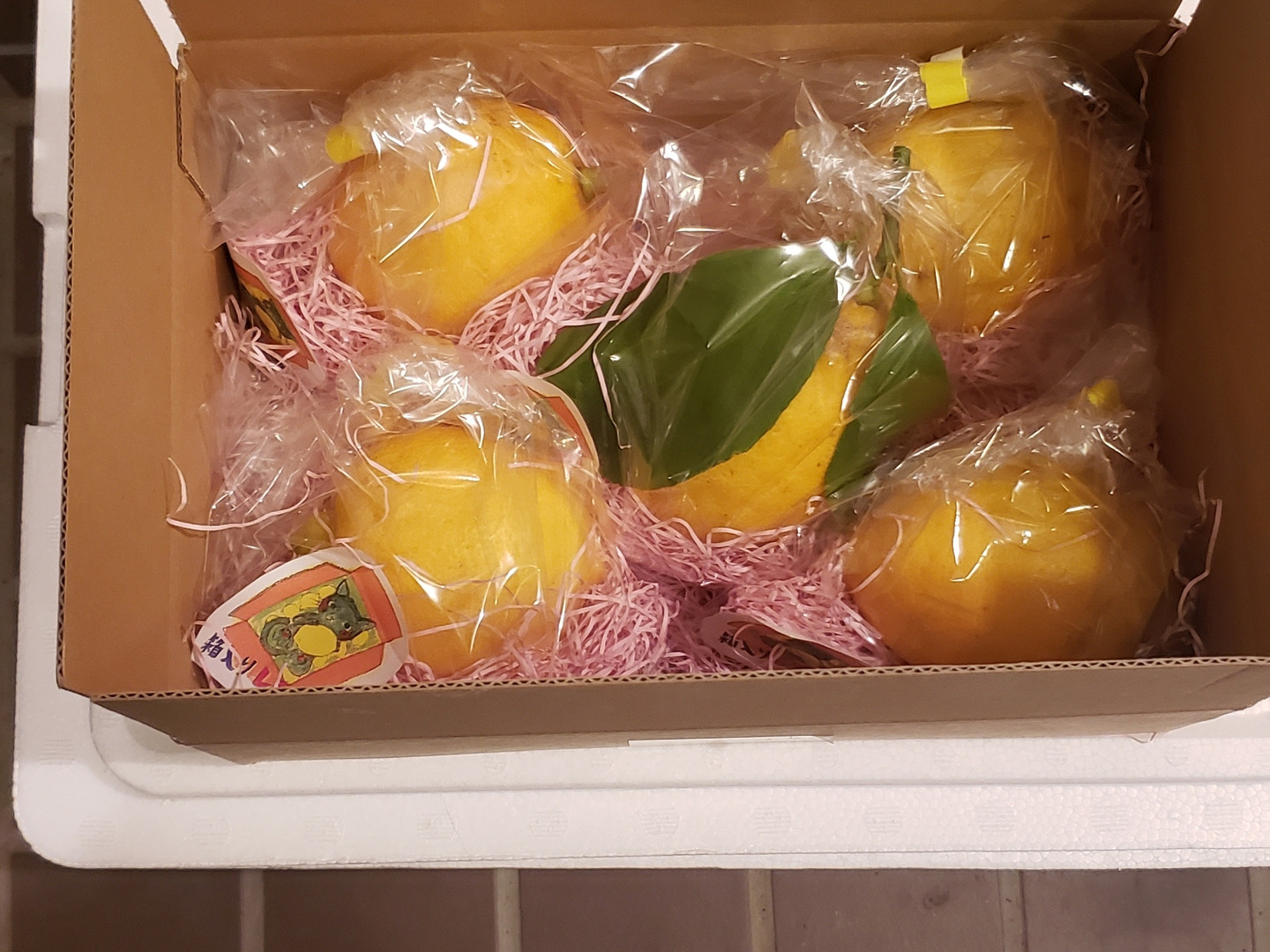 箱入りレモン娘(栽培期間中農薬不使用・有機肥料・ノーワックス